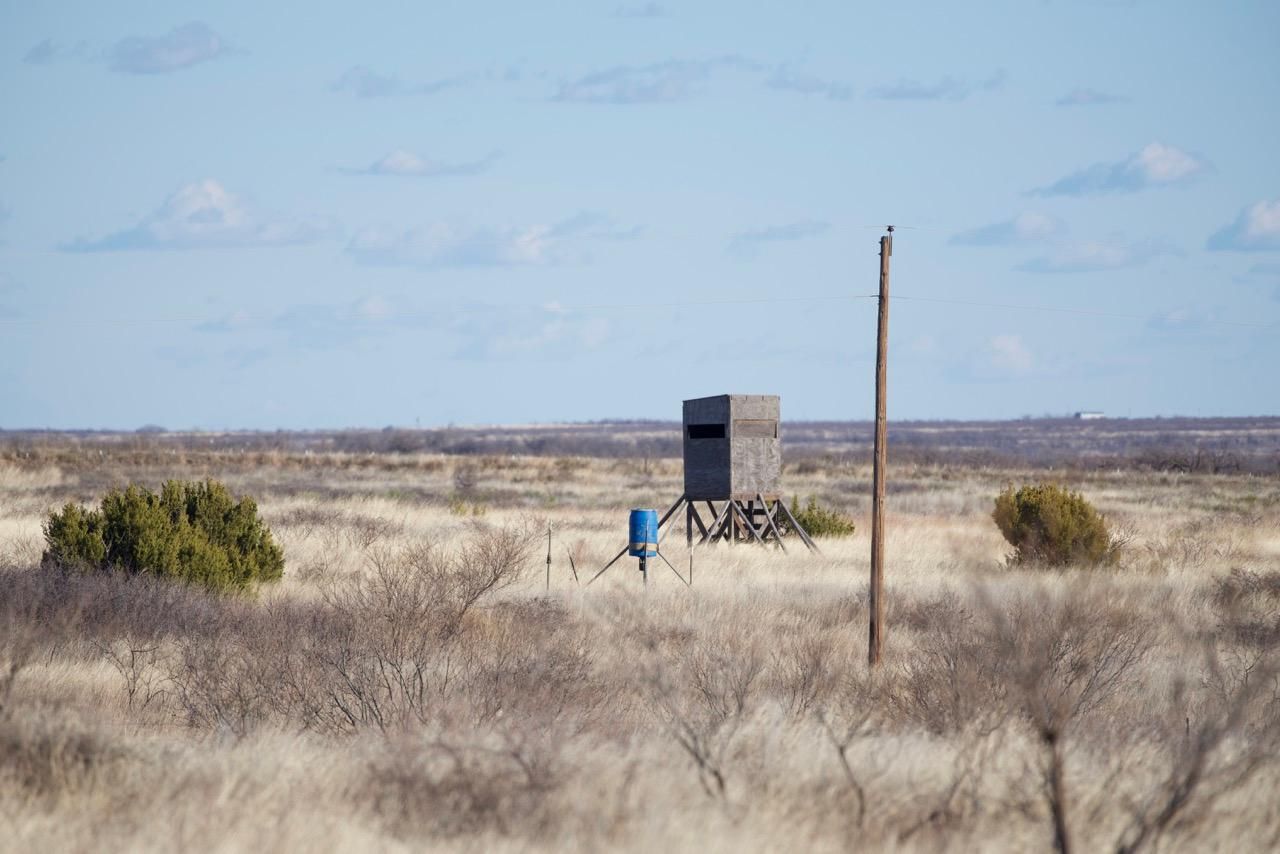 80 acres in Matador, TX, 79244 LandWatch