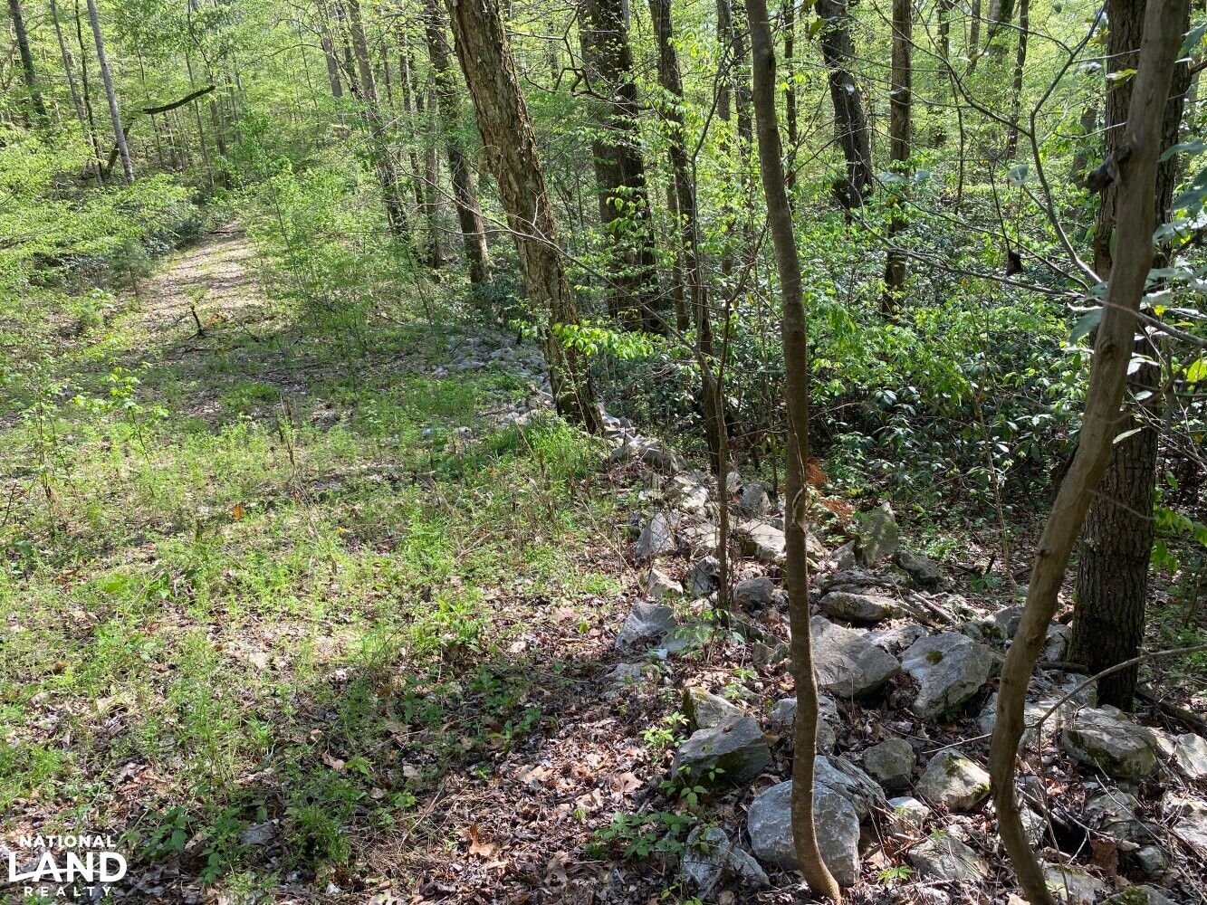 Valley Grande, Dallas County, AL Timberland Property, Hunting Property