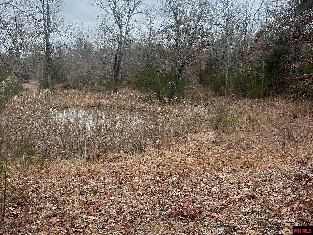 Mountain Home, Baxter County, AR Undeveloped Land for sale Property ID