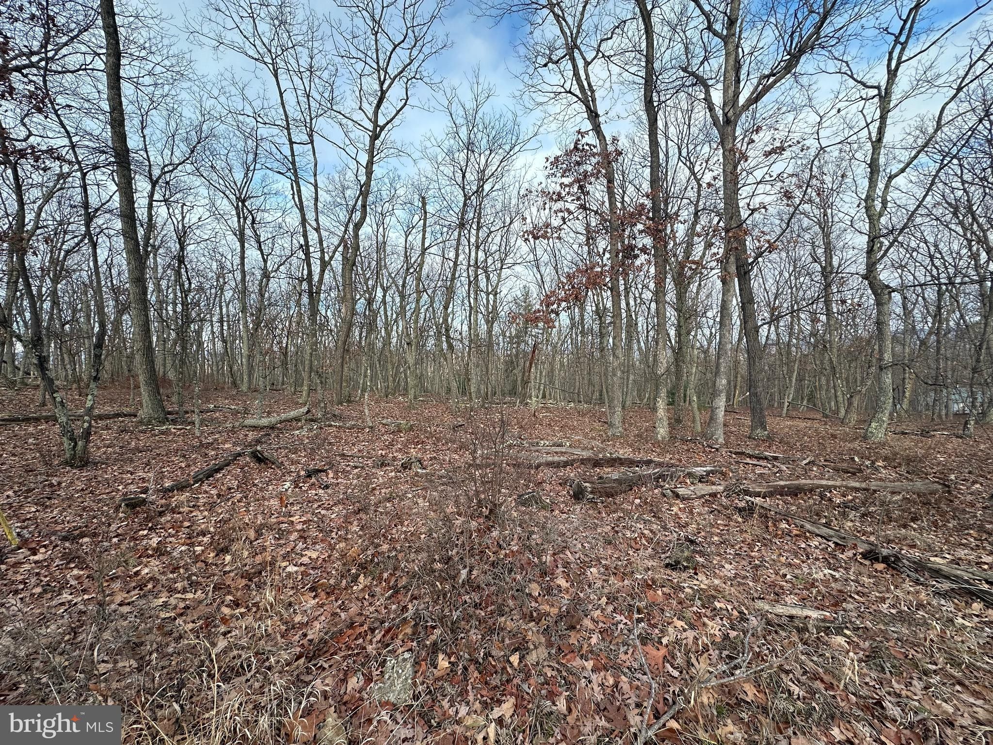 Augusta, Hampshire County, WV Undeveloped Land, Homesites for sale