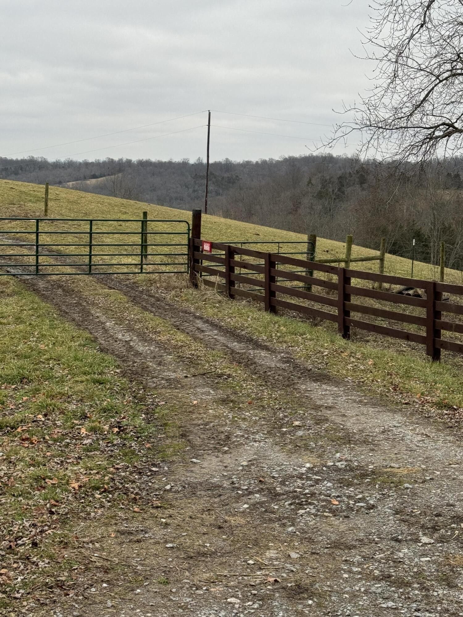 Carlisle, Nicholas County, KY Farms and Ranches for sale Property ID