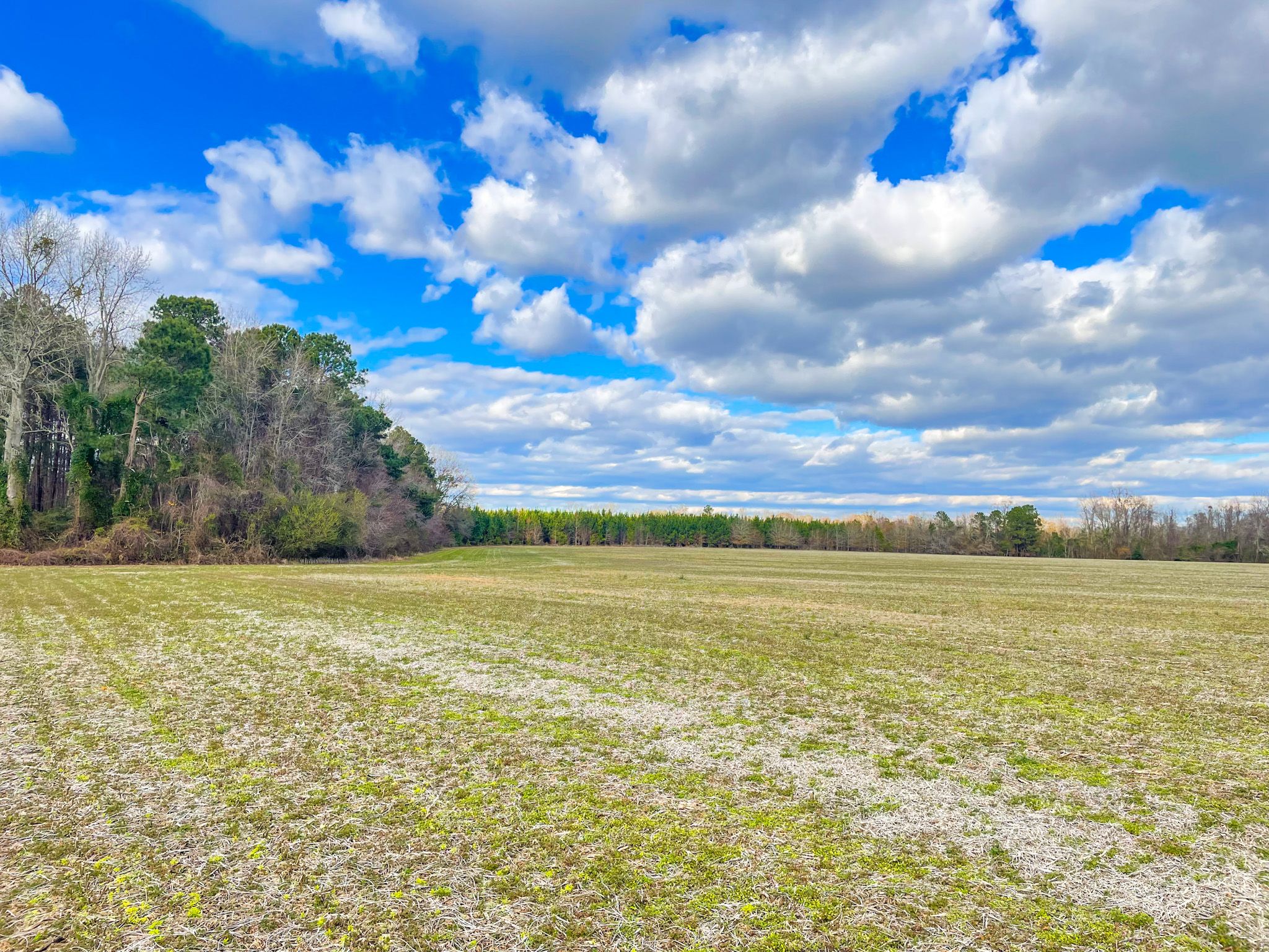Murdock Rd, LotWP001, Manning, SC 29102 LandWatch