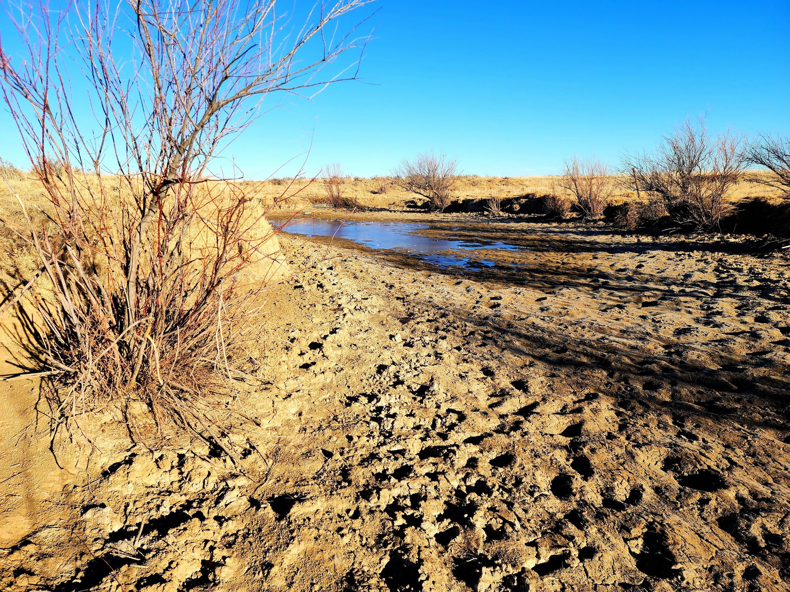 Arlington Kiowa County CO Farms And Ranches Recreational Property