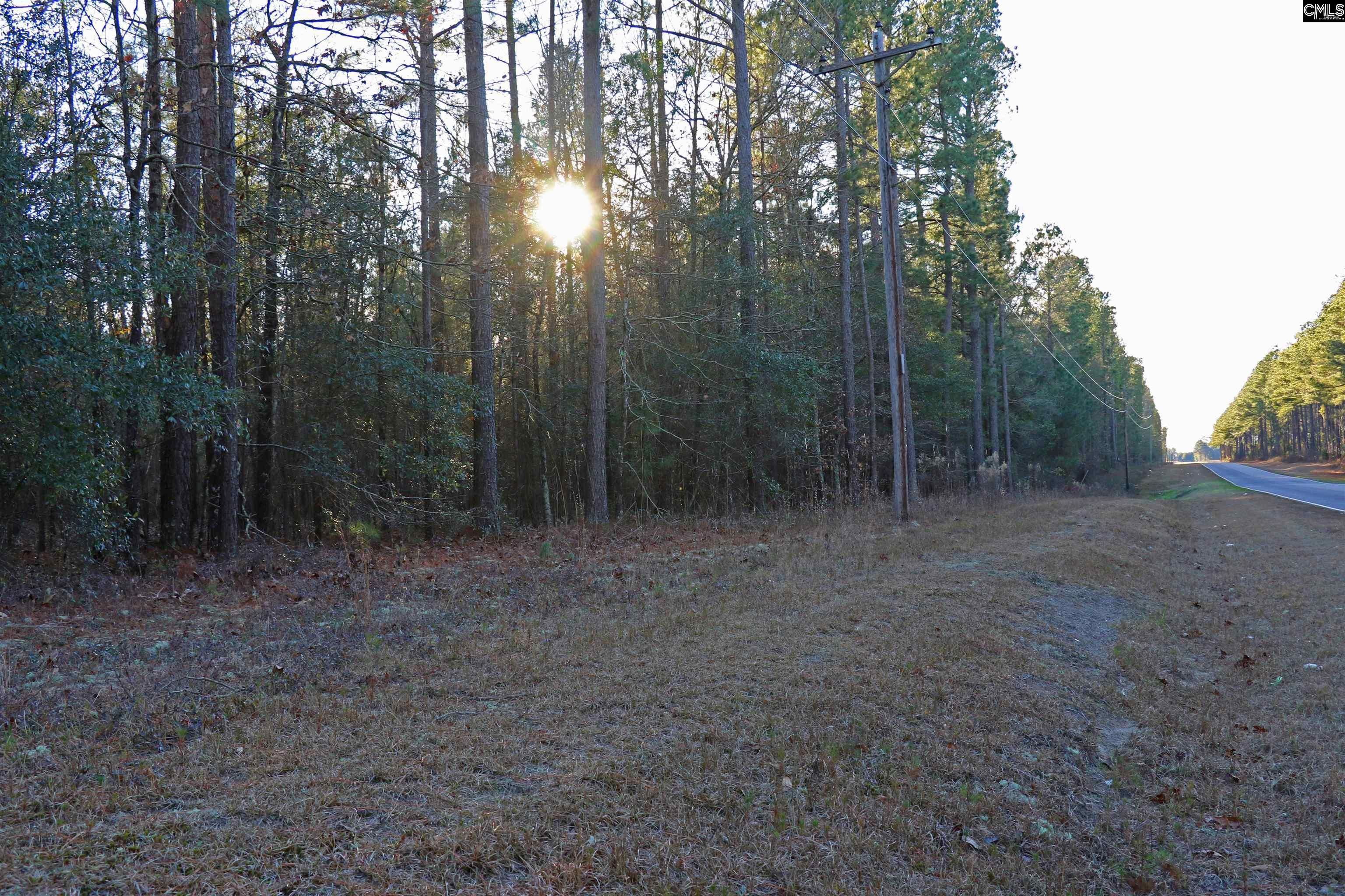 Salley, Aiken County, SC Undeveloped Land for sale Property ID