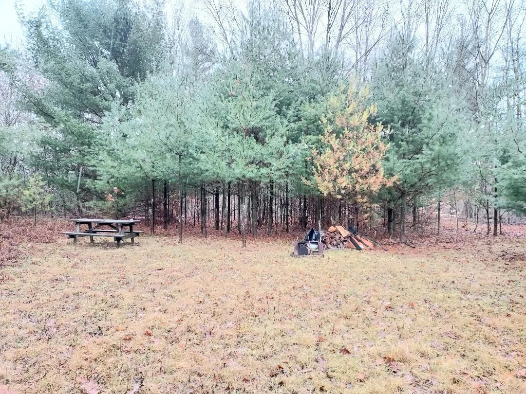 White Cloud, Newaygo County, MI Undeveloped Land for sale Property ID