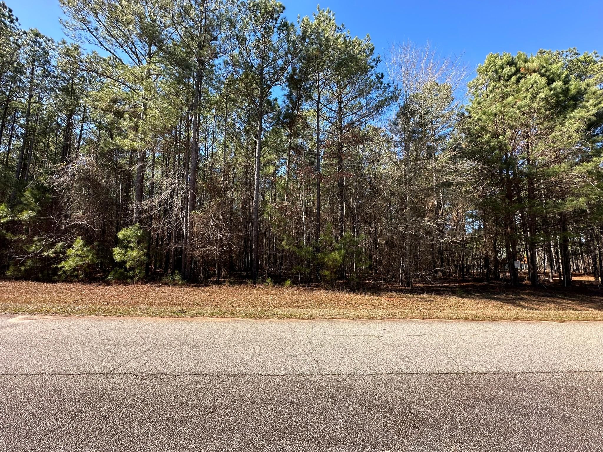 Lincolnton, Lincoln County, GA Recreational Property, Lakefront