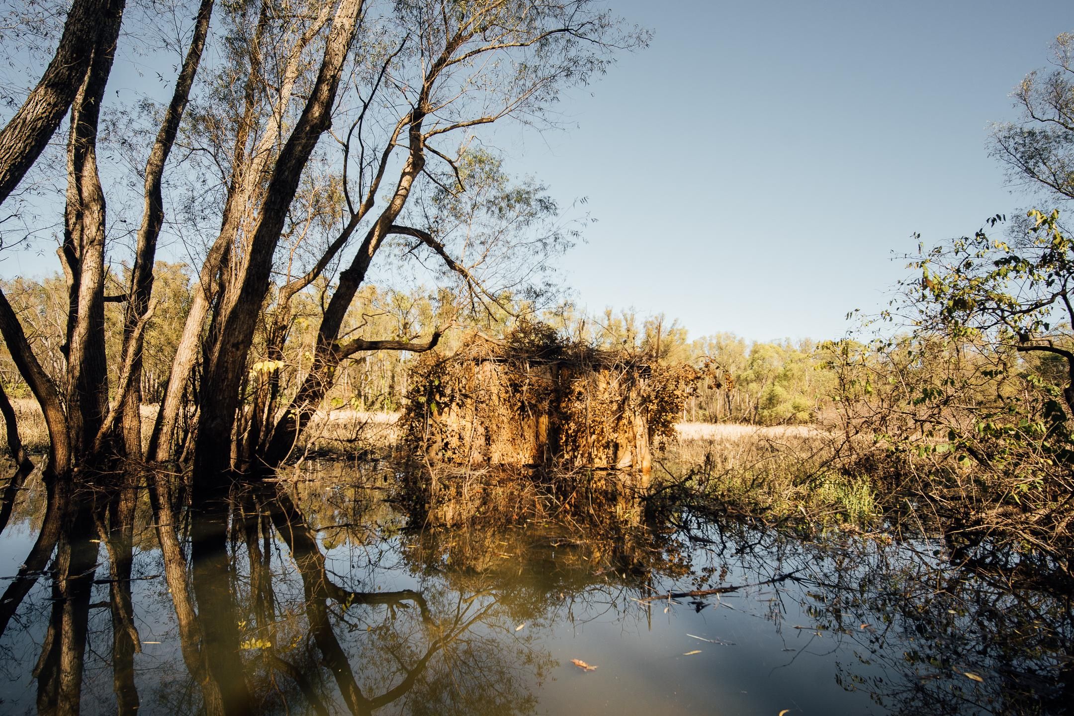 5,565 acres in Mayersville, MS, 39113 LandWatch