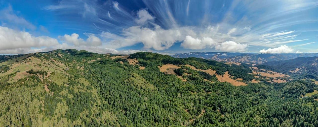Alderpoint, Humboldt County, CA Timberland Property for sale Property ID 416811000 LandWatch