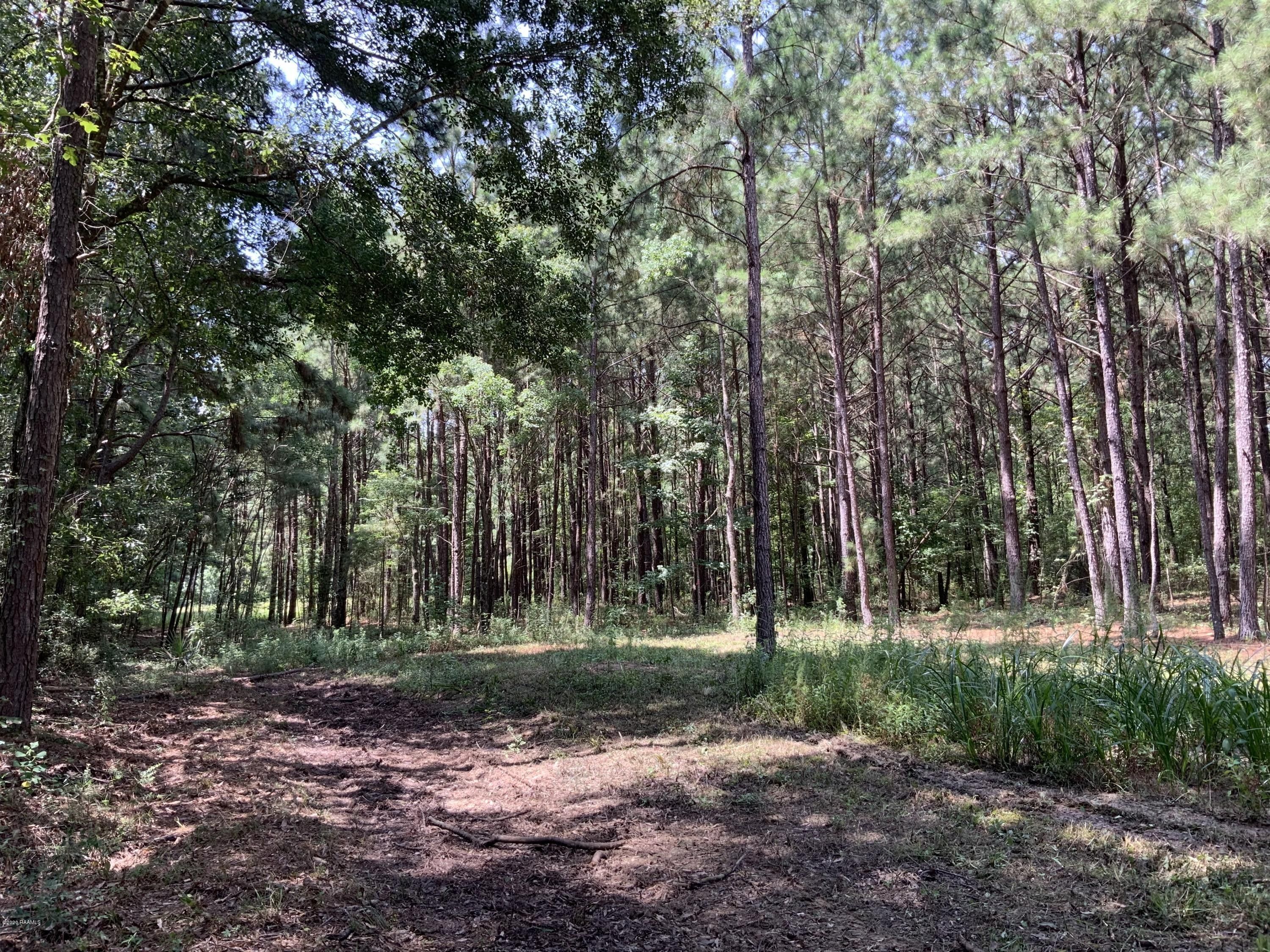 Eunice, Saint Landry Parish, LA Undeveloped Land for sale Property ID