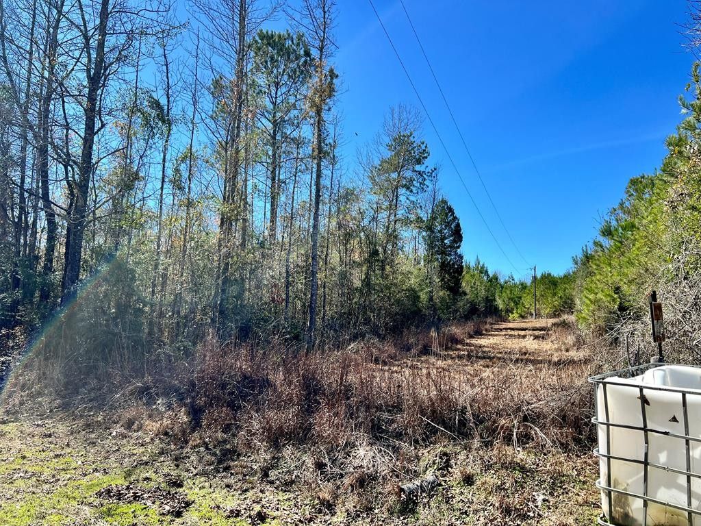 00 DR ANDERSON ROAD, Centreville, MS 39631 MLS 140724 LandWatch