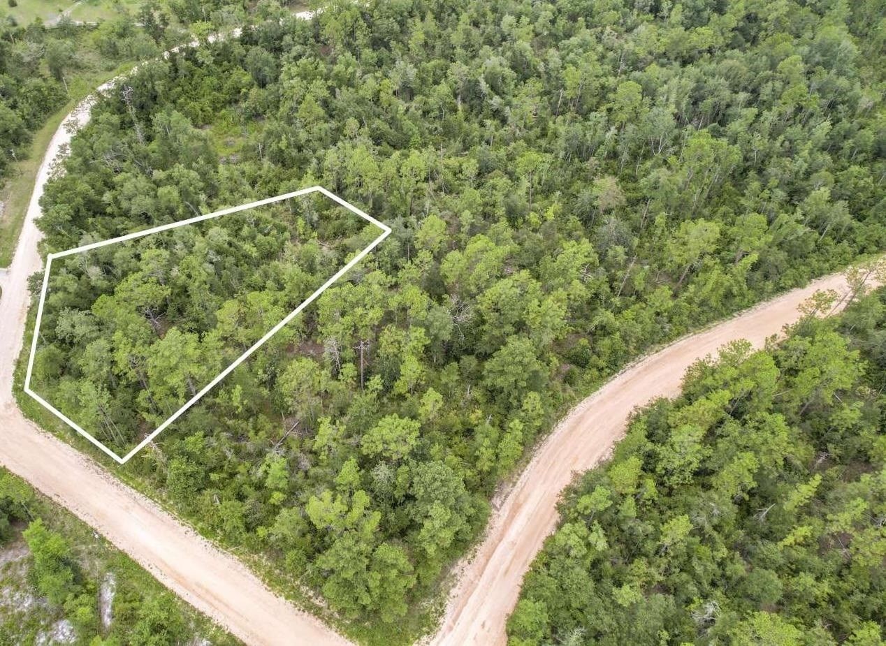 Alford, Jackson County, FL Undeveloped Land, Homesites for sale