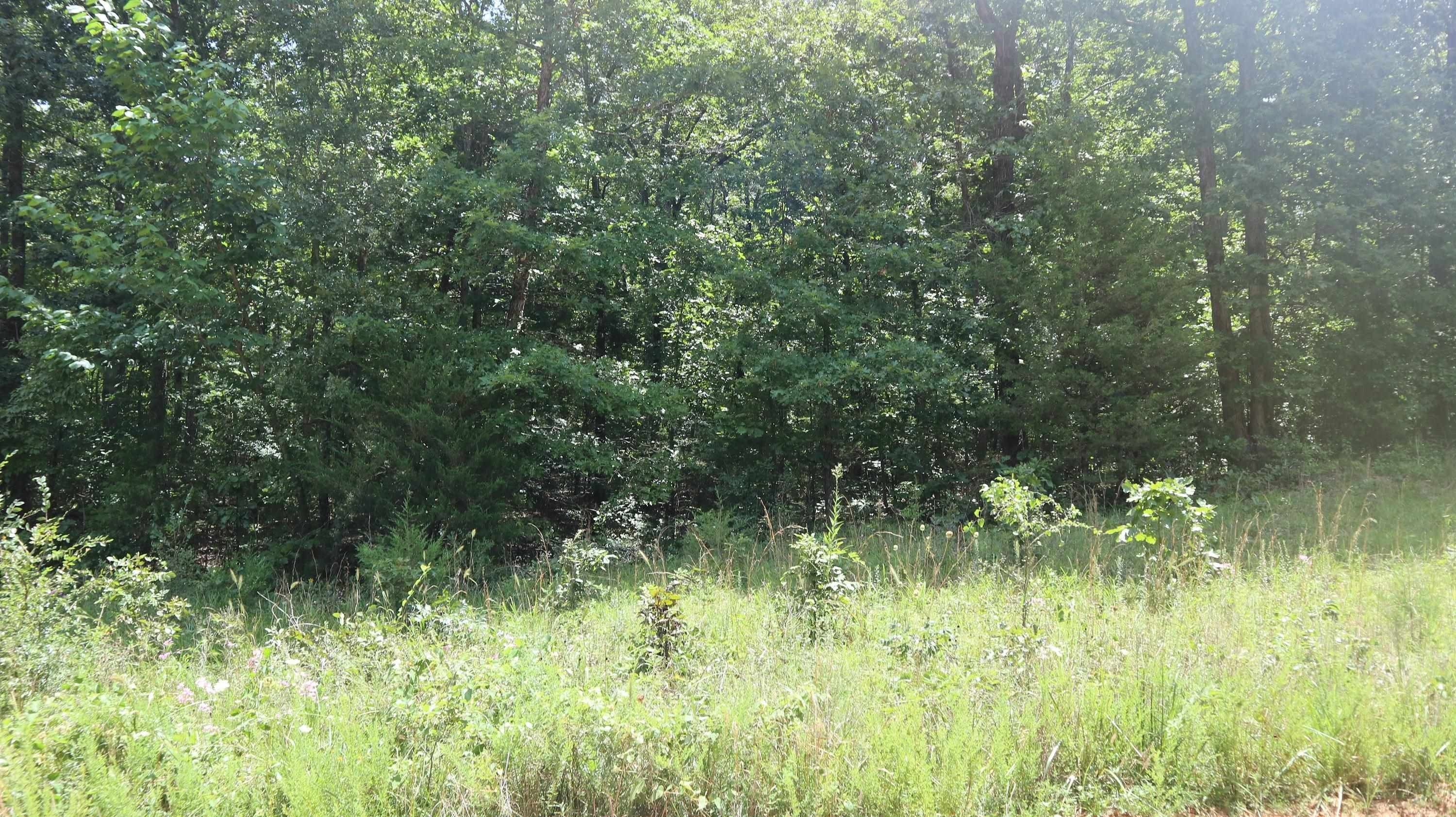 Poughkeepsie, Sharp County, AR Undeveloped Land, Homesites for sale