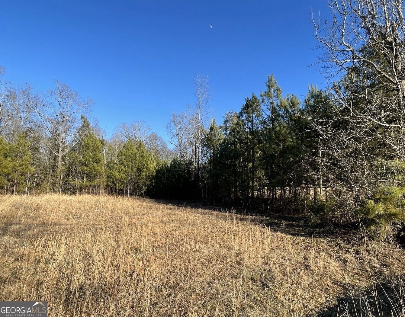 Elberton, Elbert County, GA Undeveloped Land for sale Property ID
