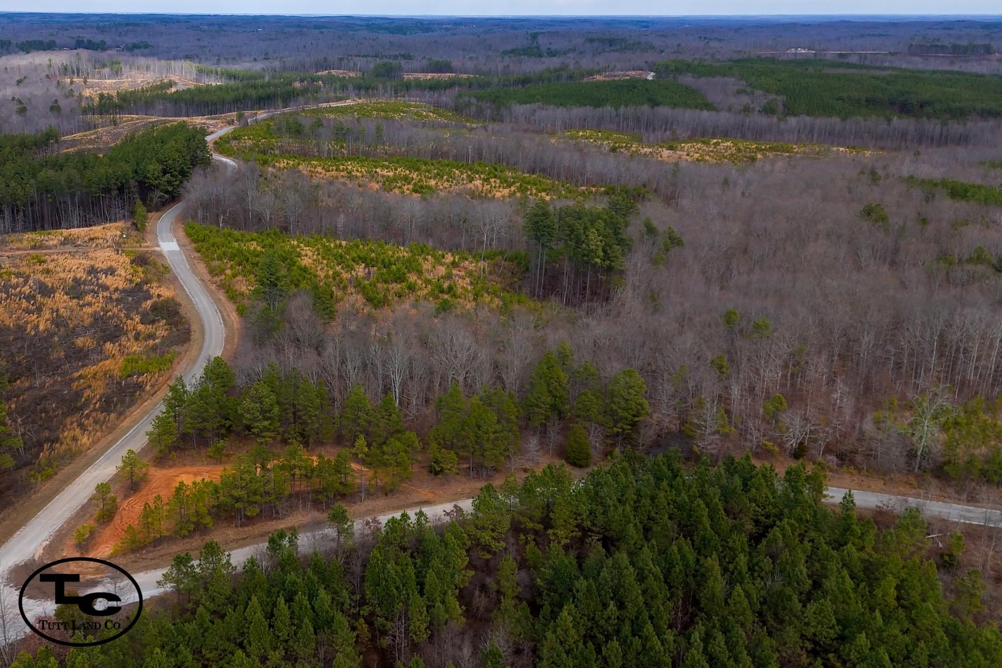 Henderson, Chester County, TN Recreational Property, Undeveloped Land