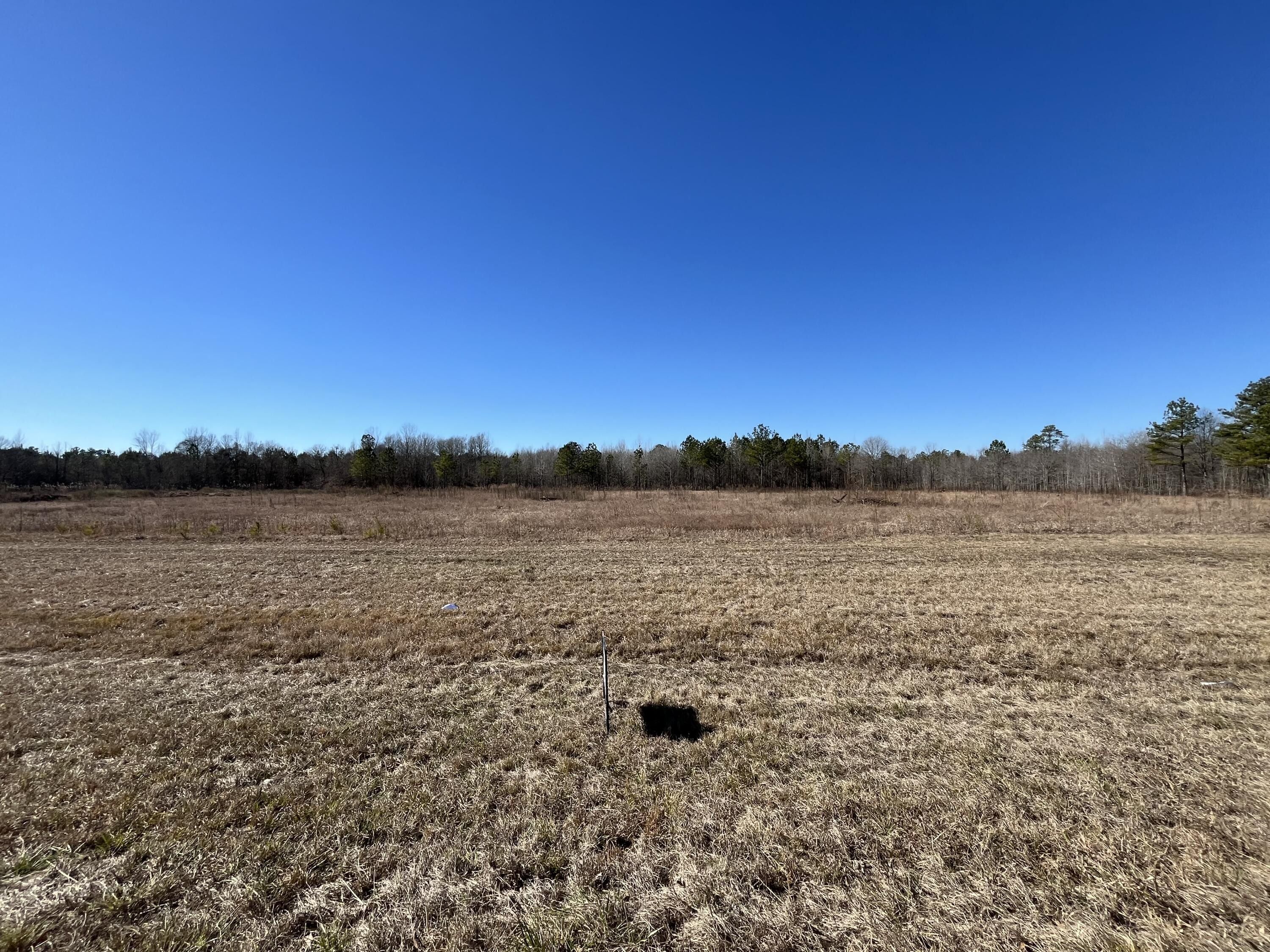 Columbus, Lowndes County, MS Undeveloped Land for sale Property ID