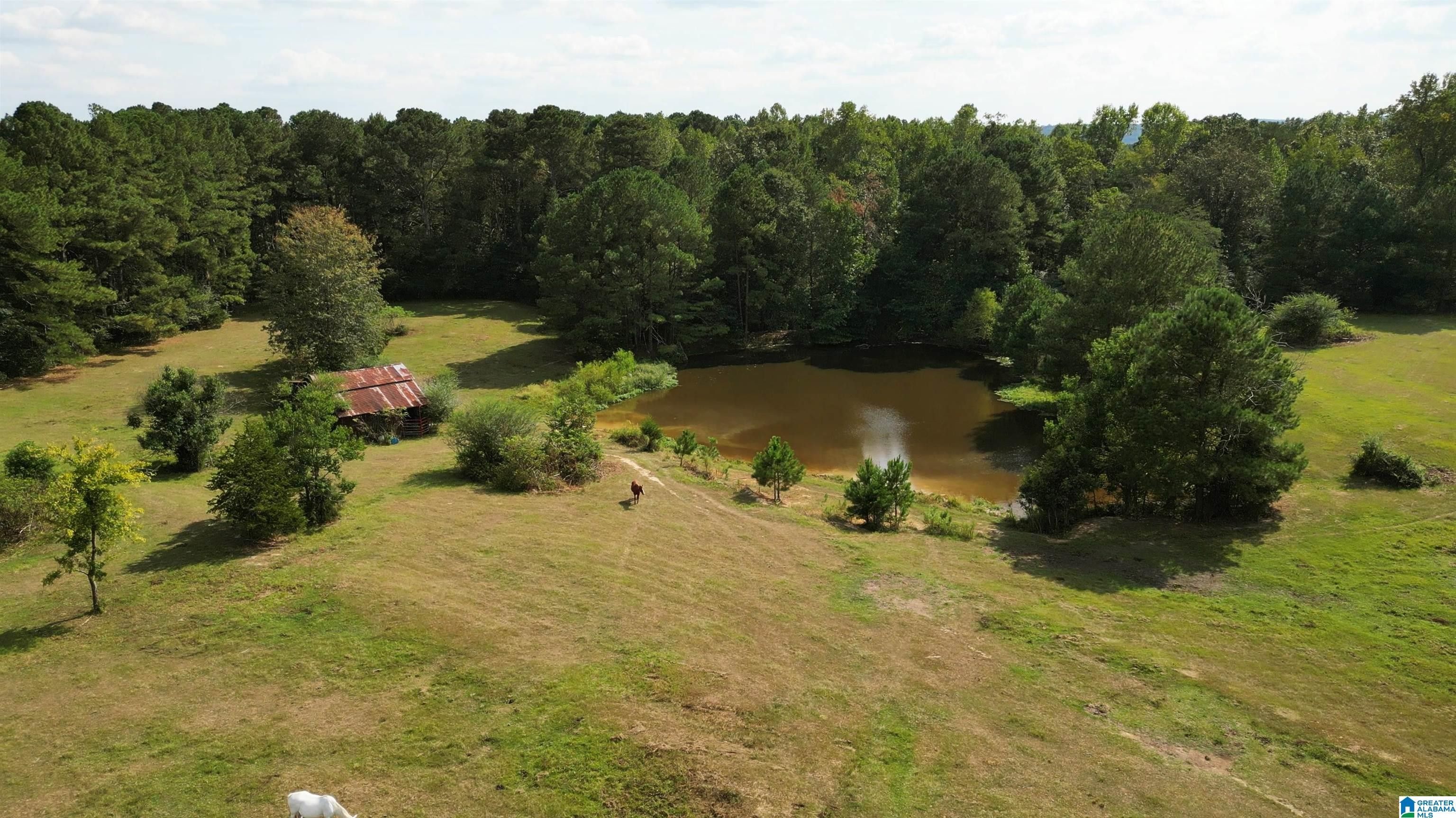 Bessemer, Jefferson County, AL House for sale Property ID 418792487