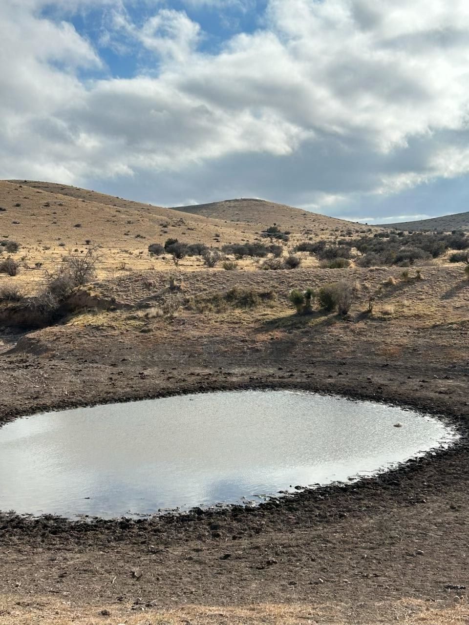 23,890 acres in Pion, NM, 88354 LandWatch