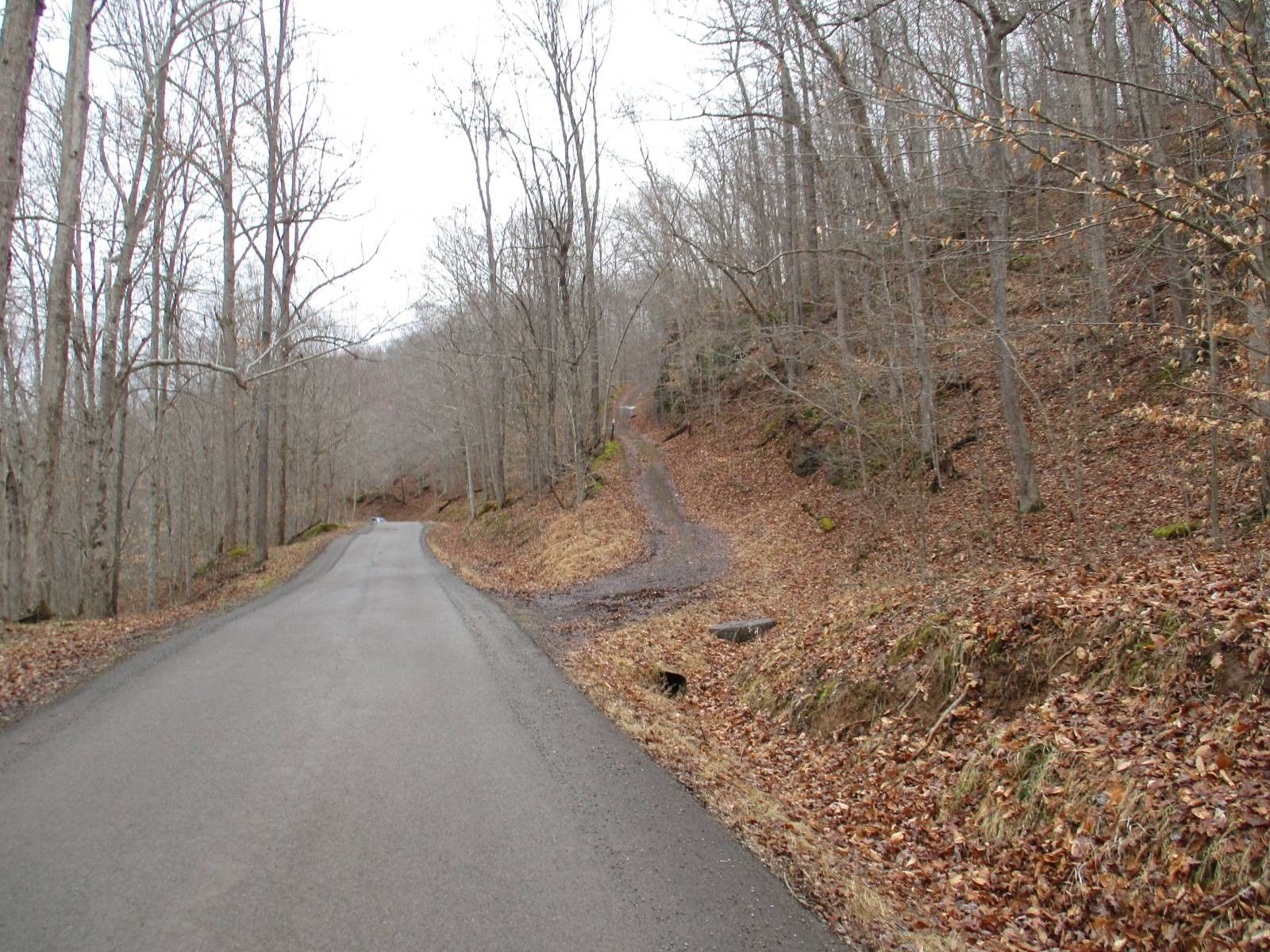 Tanner, Calhoun County, WV Undeveloped Land for sale Property ID