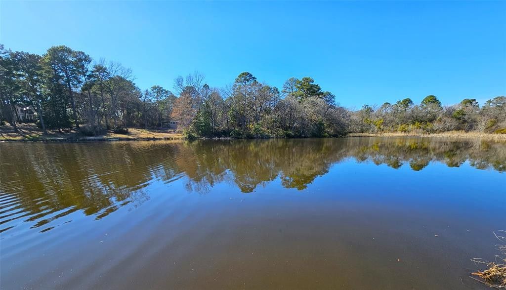 Bullard, Cherokee County, TX Undeveloped Land, Lakefront Property
