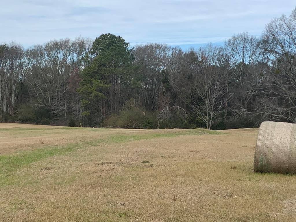 U.S. 331, Luverne, AL 36049 MLS 25487 LandWatch