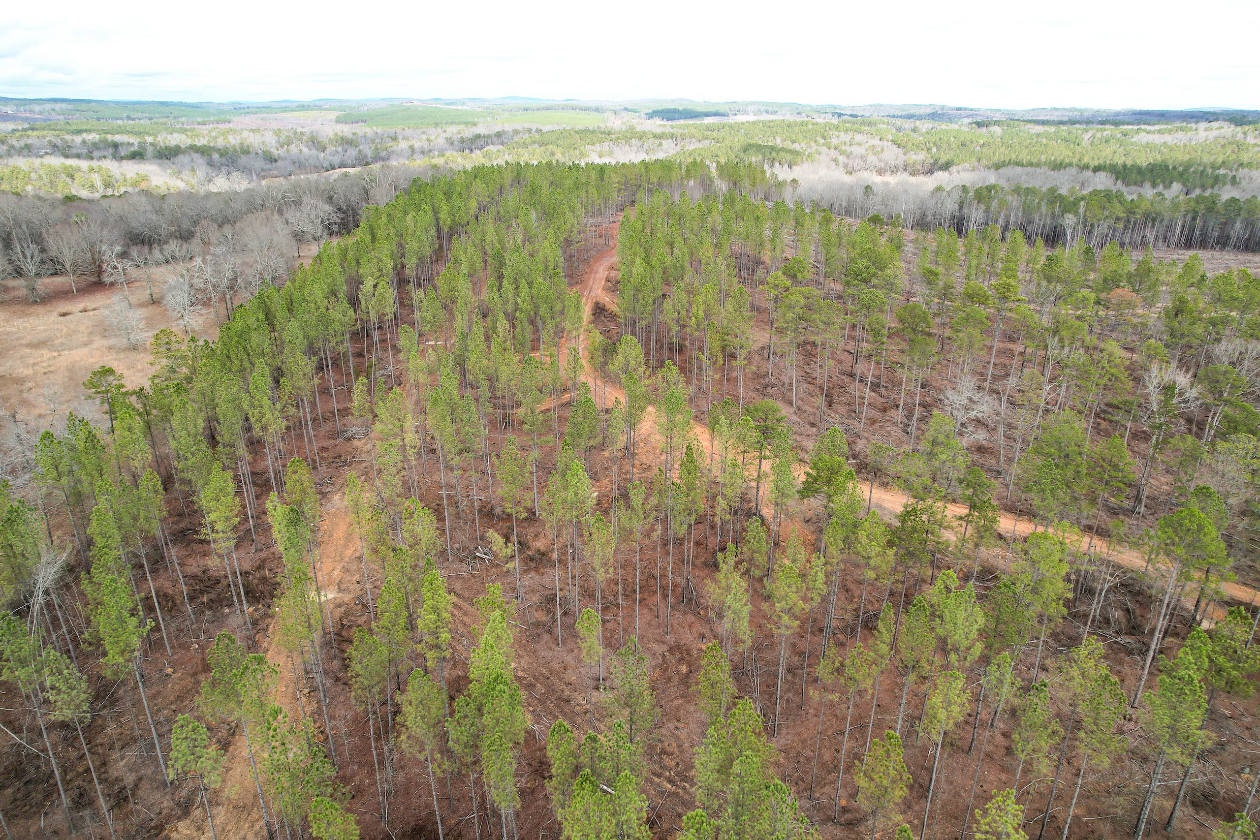 Cedartown, Polk County, GA Recreational Property, Timberland Property