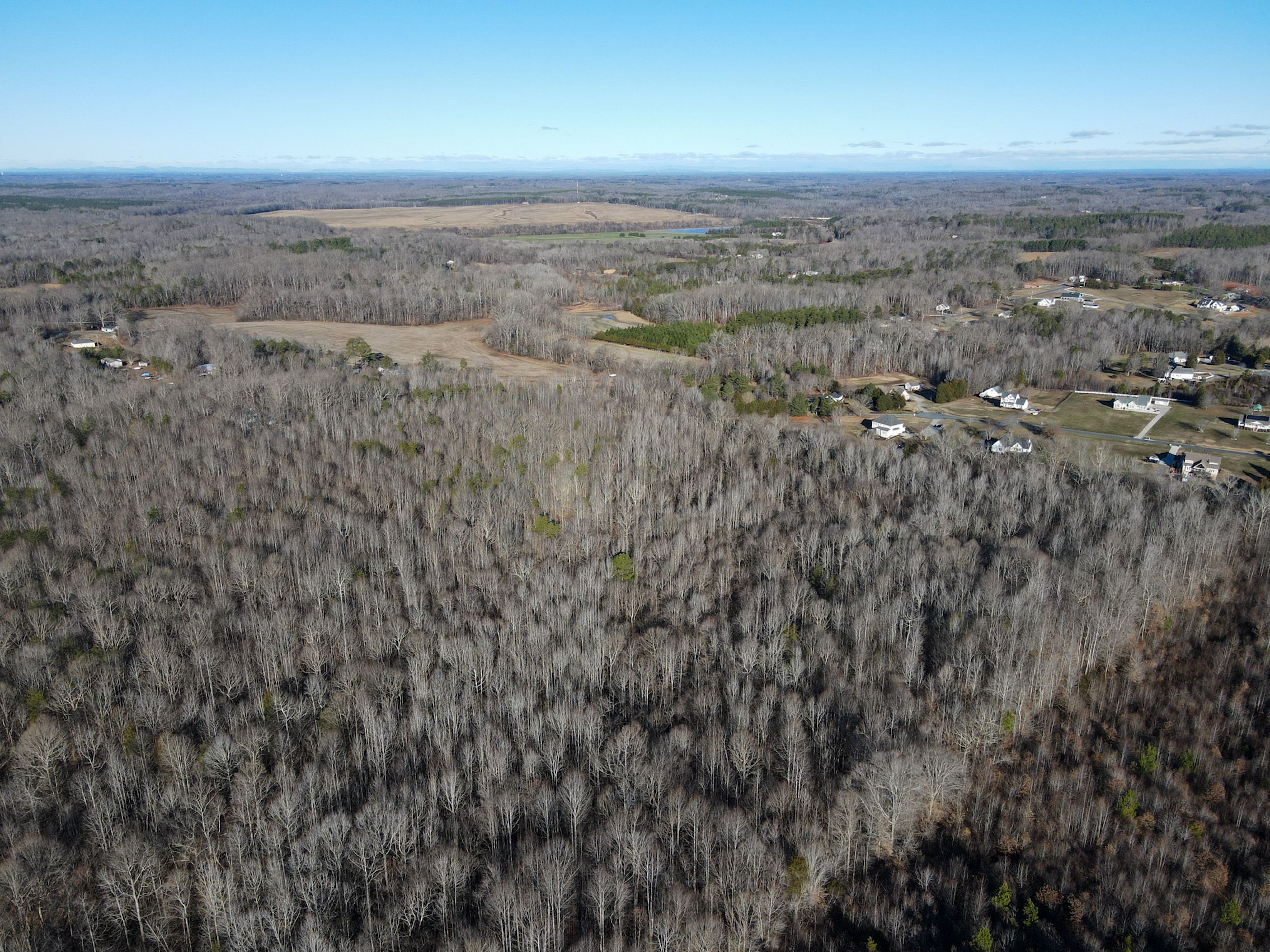Lexington, Davidson County, NC Recreational Property, Timberland