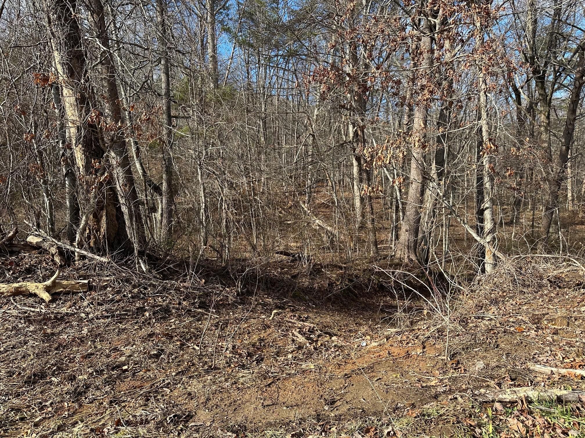 18 Pocket Road, Whitwell, TN 37397 MLS 1386102 LandWatch