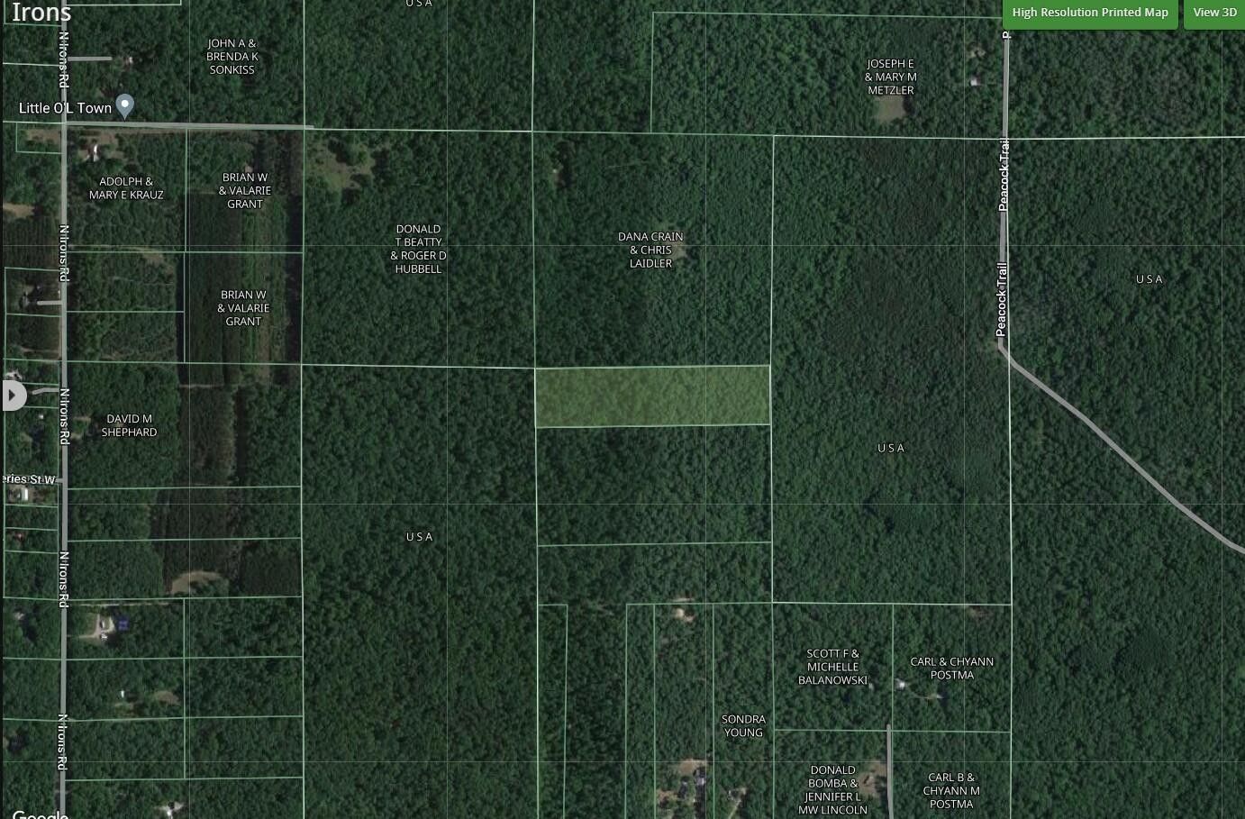 Irons, Lake County, MI Undeveloped Land for sale Property ID 418798686