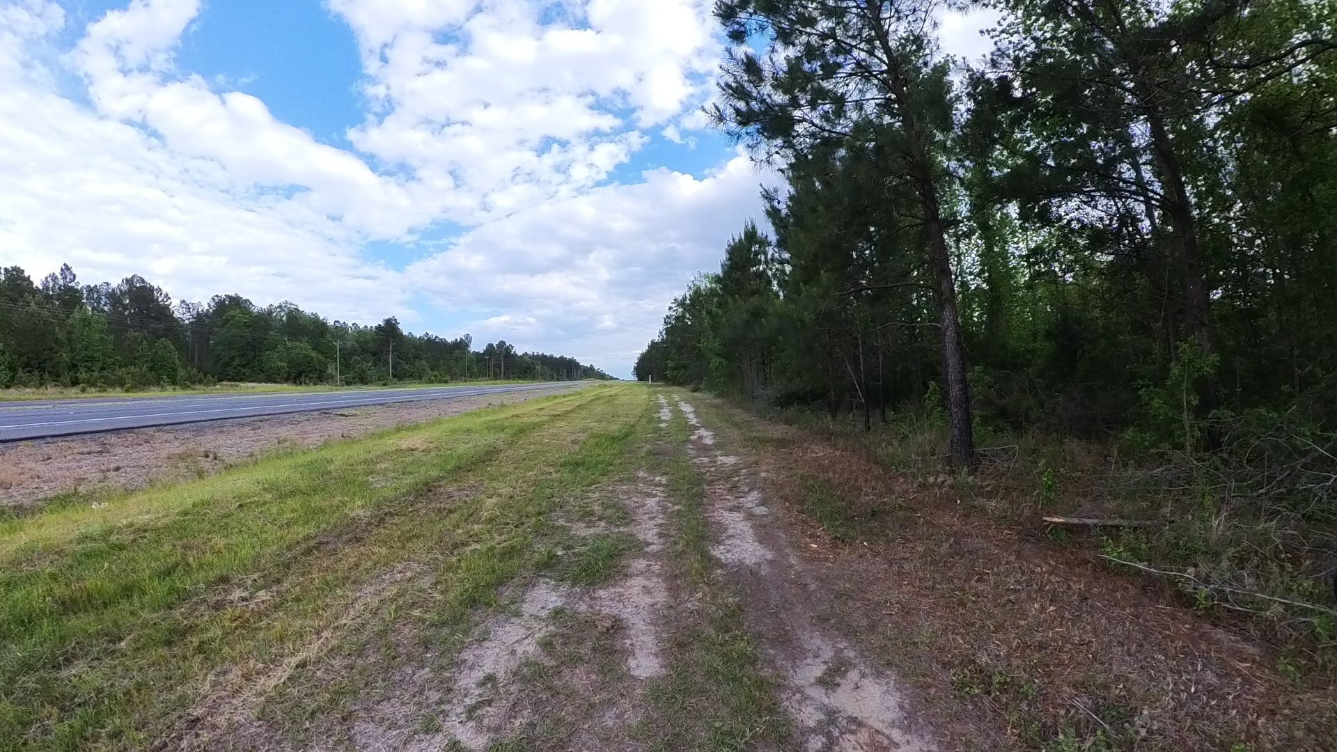 Sylvania, Screven County, GA Recreational Property, Undeveloped Land