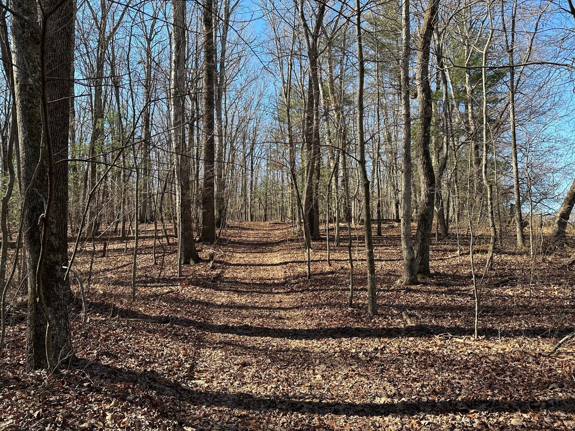 mount pleasant church road, State Road, NC 28676 MLS 1131922 LandWatch