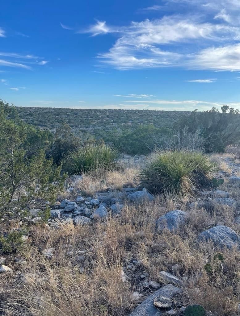 Sonora, Val Verde County, TX Farms and Ranches for sale Property ID