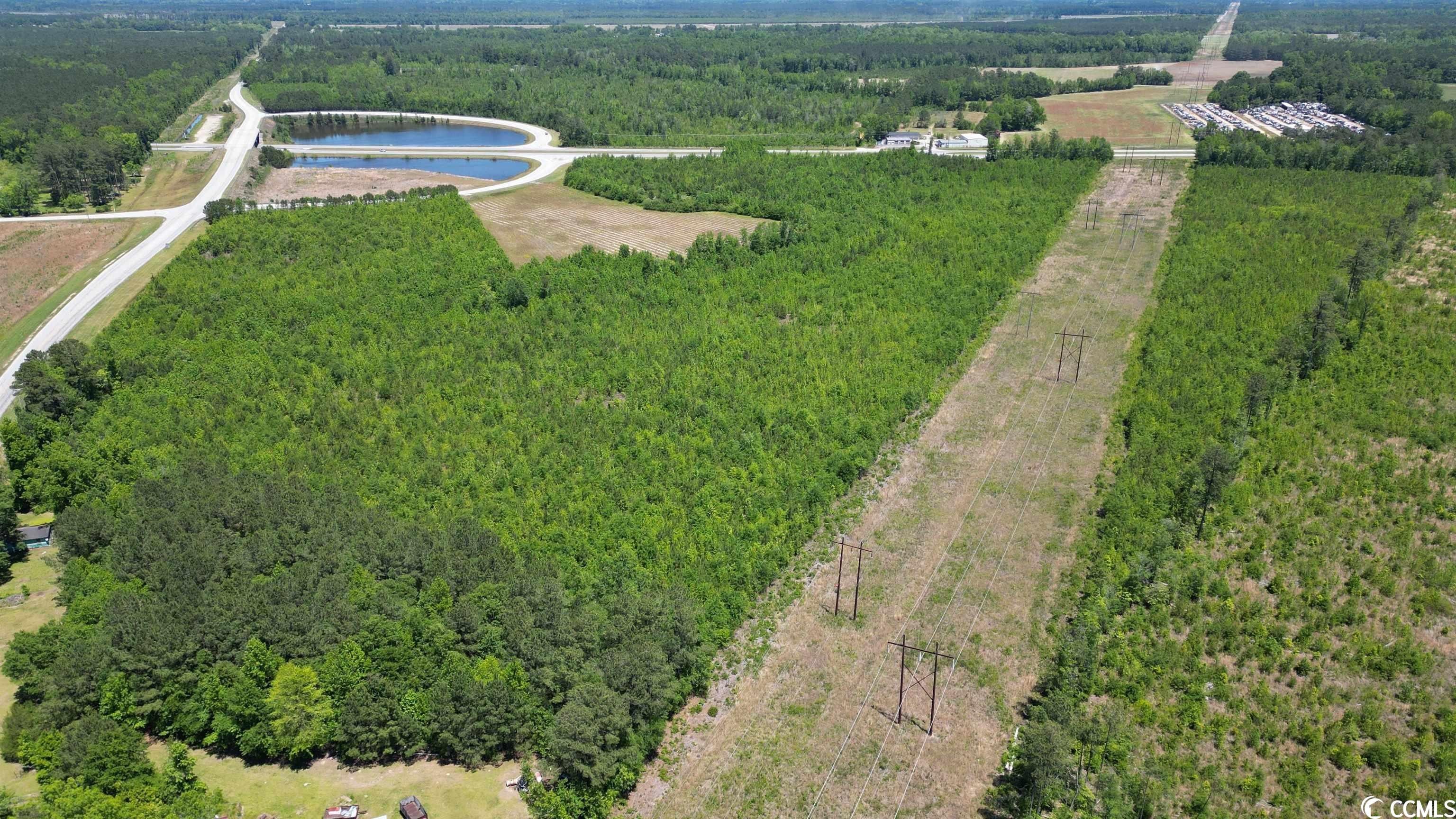 Marion, Marion County, SC Undeveloped Land for sale Property ID