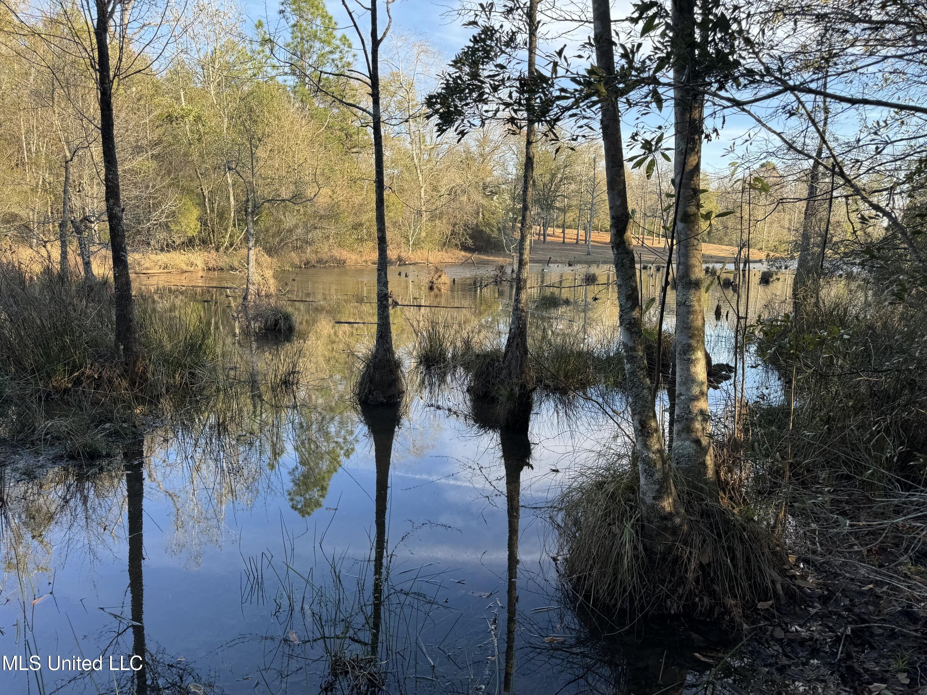 Lot 14 Hickory Lakes Estates, Lucedale, MS 39452 MLS 4069569 LandWatch