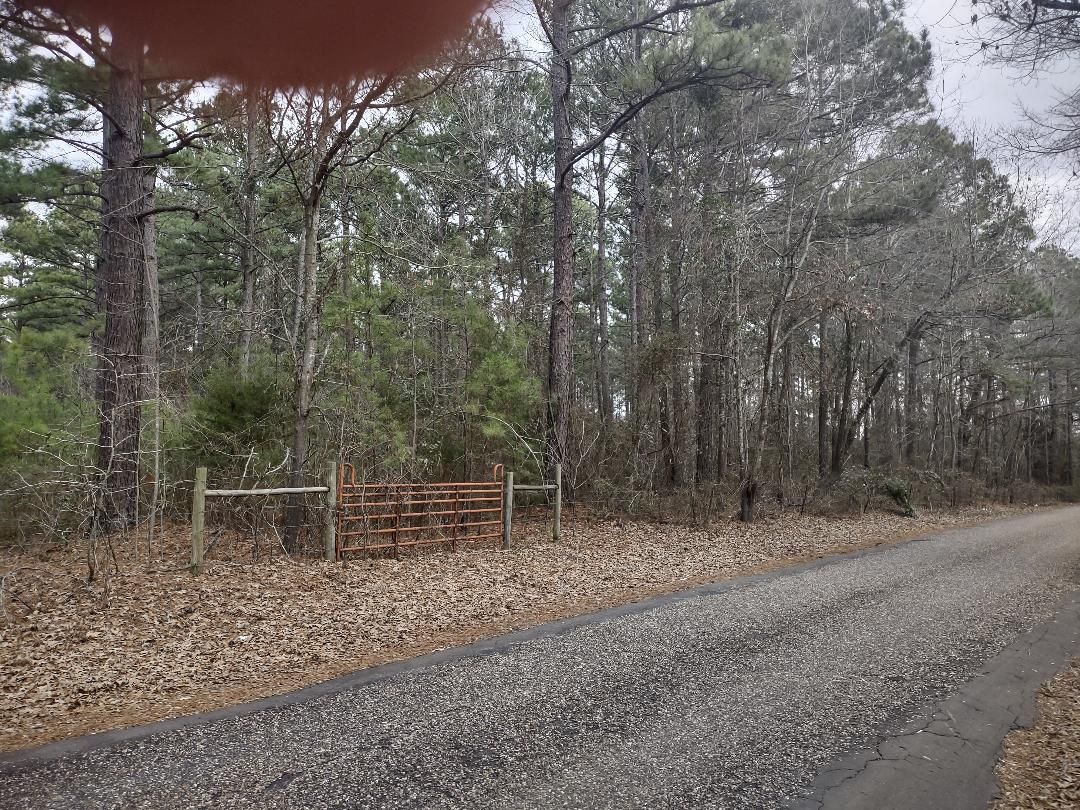 Daingerfield, Morris County, TX Timberland Property, Hunting Property