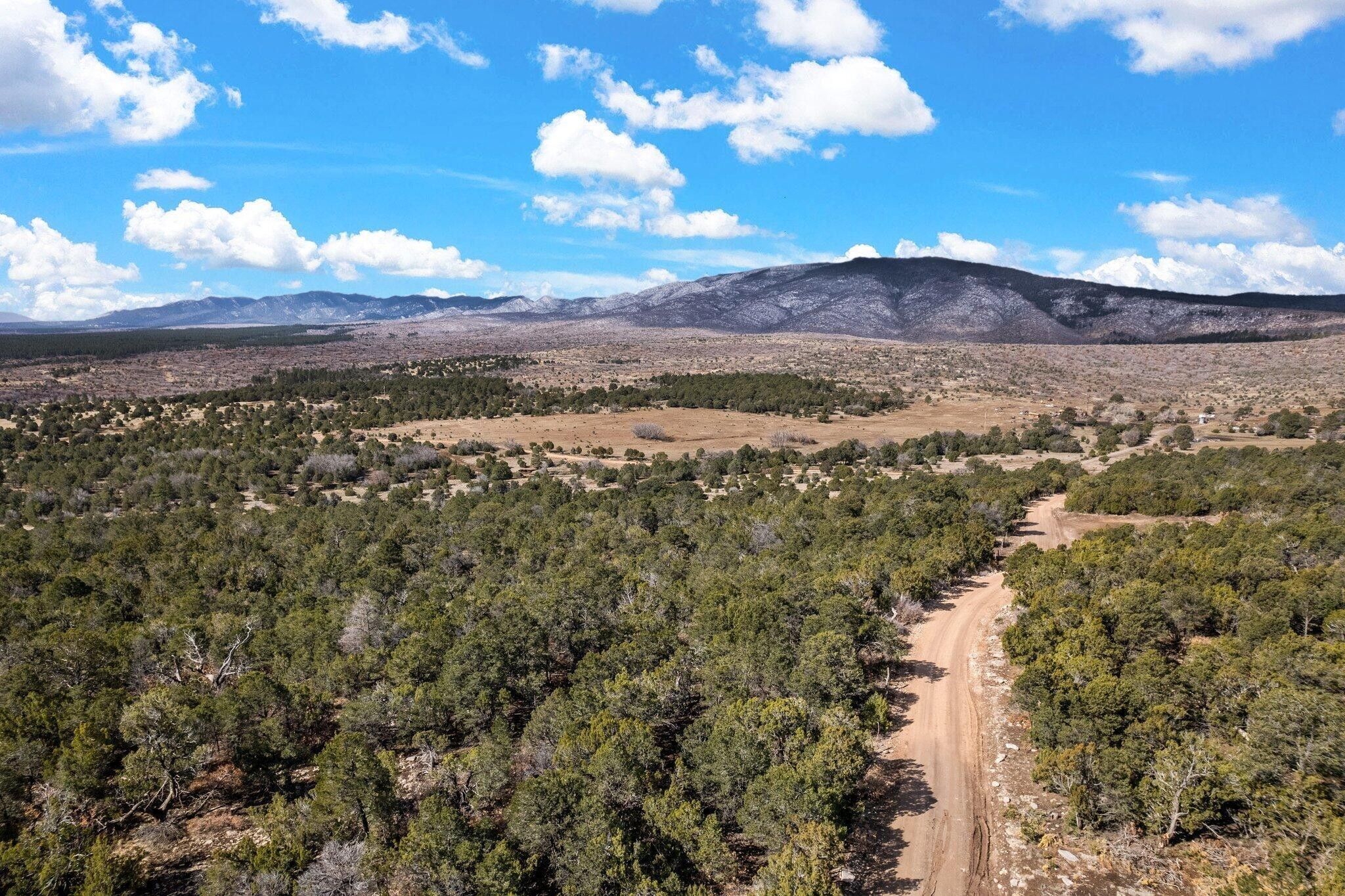Torreon, Torrance County, NM Undeveloped Land for sale Property ID