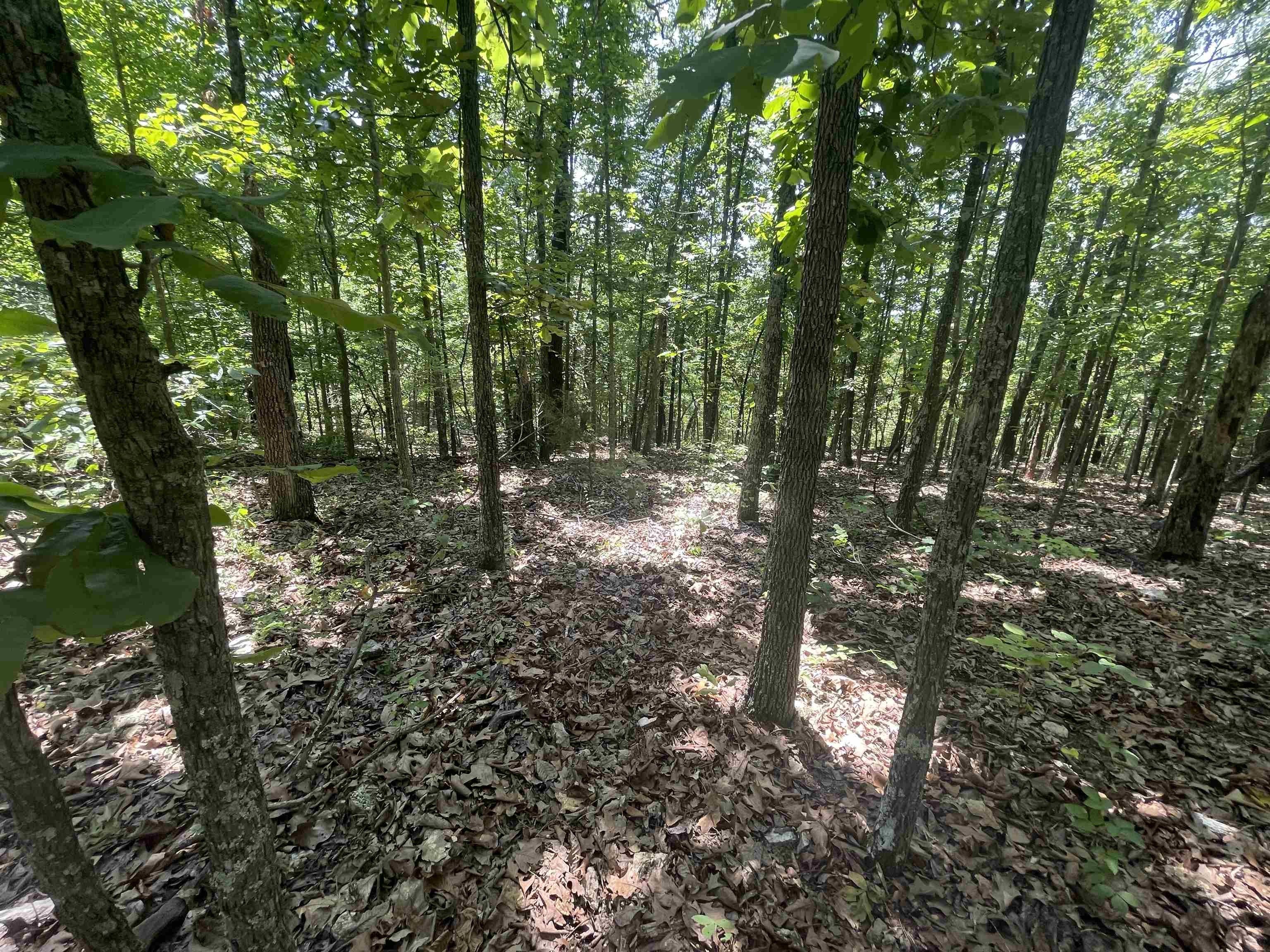 Mammoth Spring, Fulton County, AR Undeveloped Land for sale Property ID