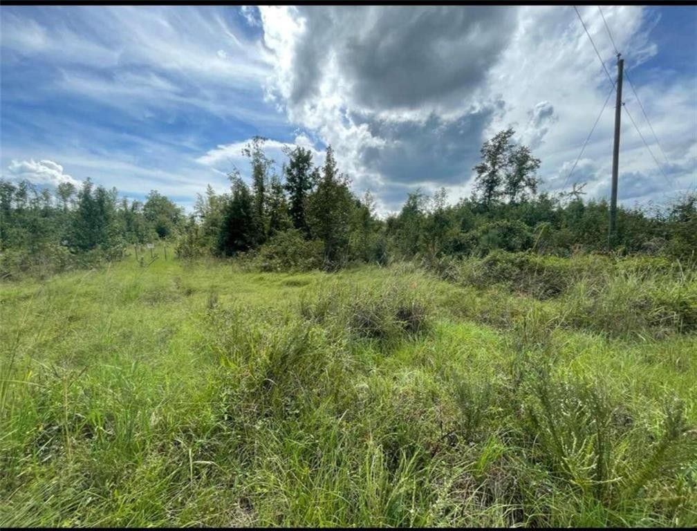 Keysville, Burke County, GA Undeveloped Land for sale Property ID