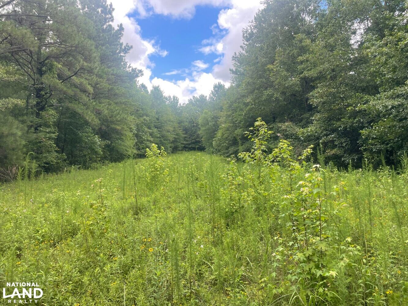 0 Griffin Road, Shuqualak, MS 39361 LandWatch