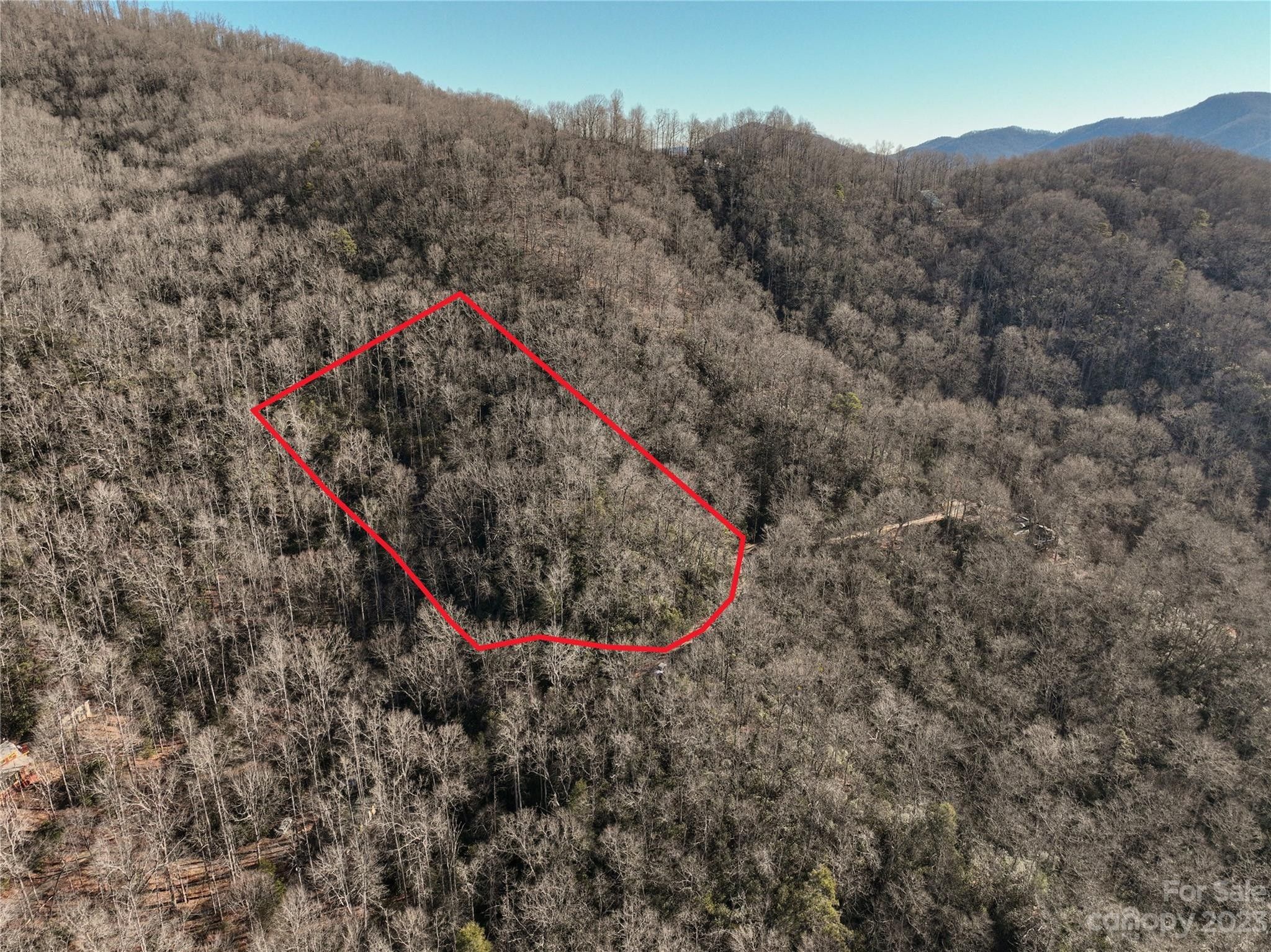 Black Mountain, County, NC Undeveloped Land, Homesites for sale Property ID 418813844