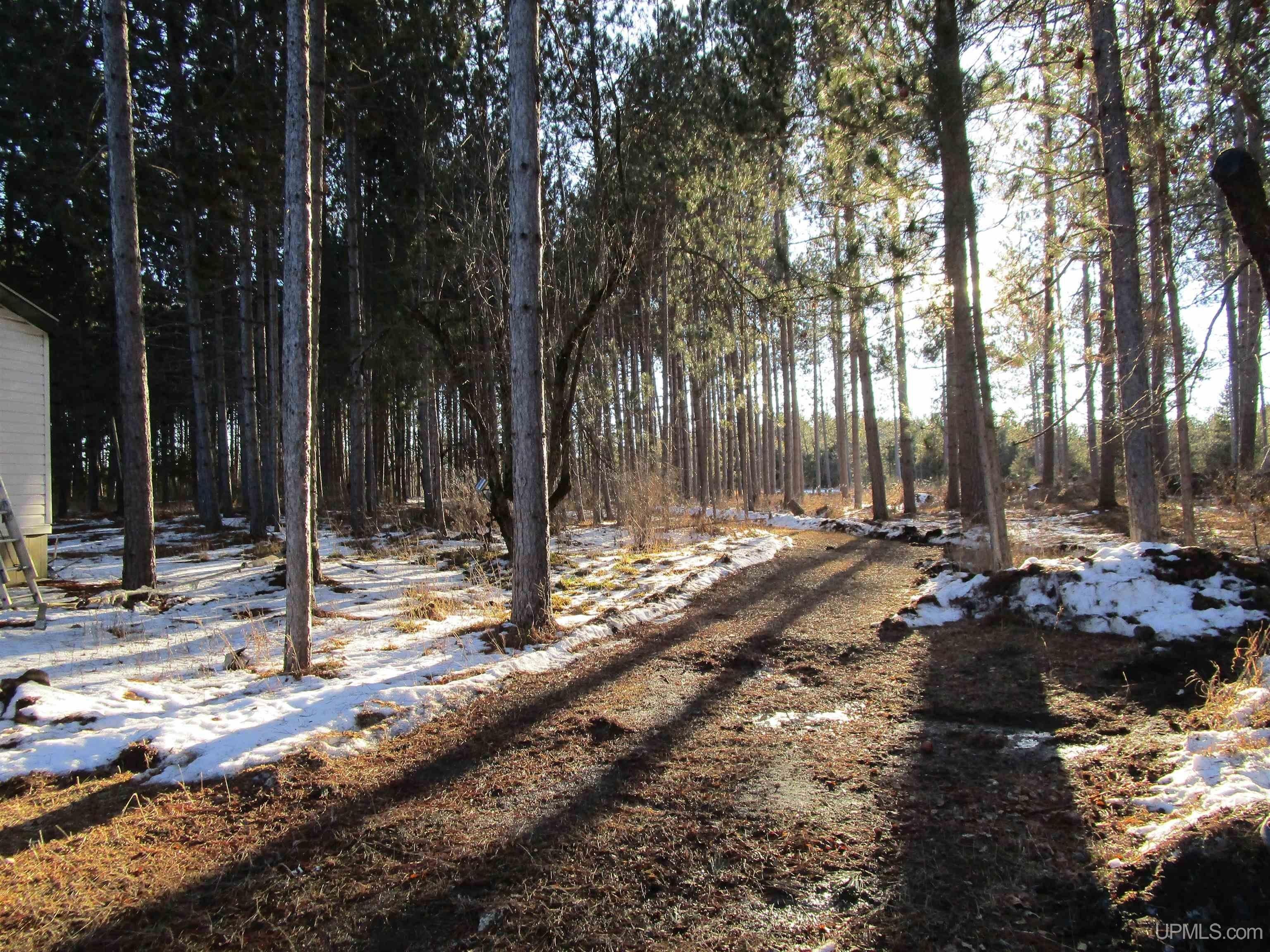 Hermansville, Menominee County, MI Undeveloped Land for sale Property