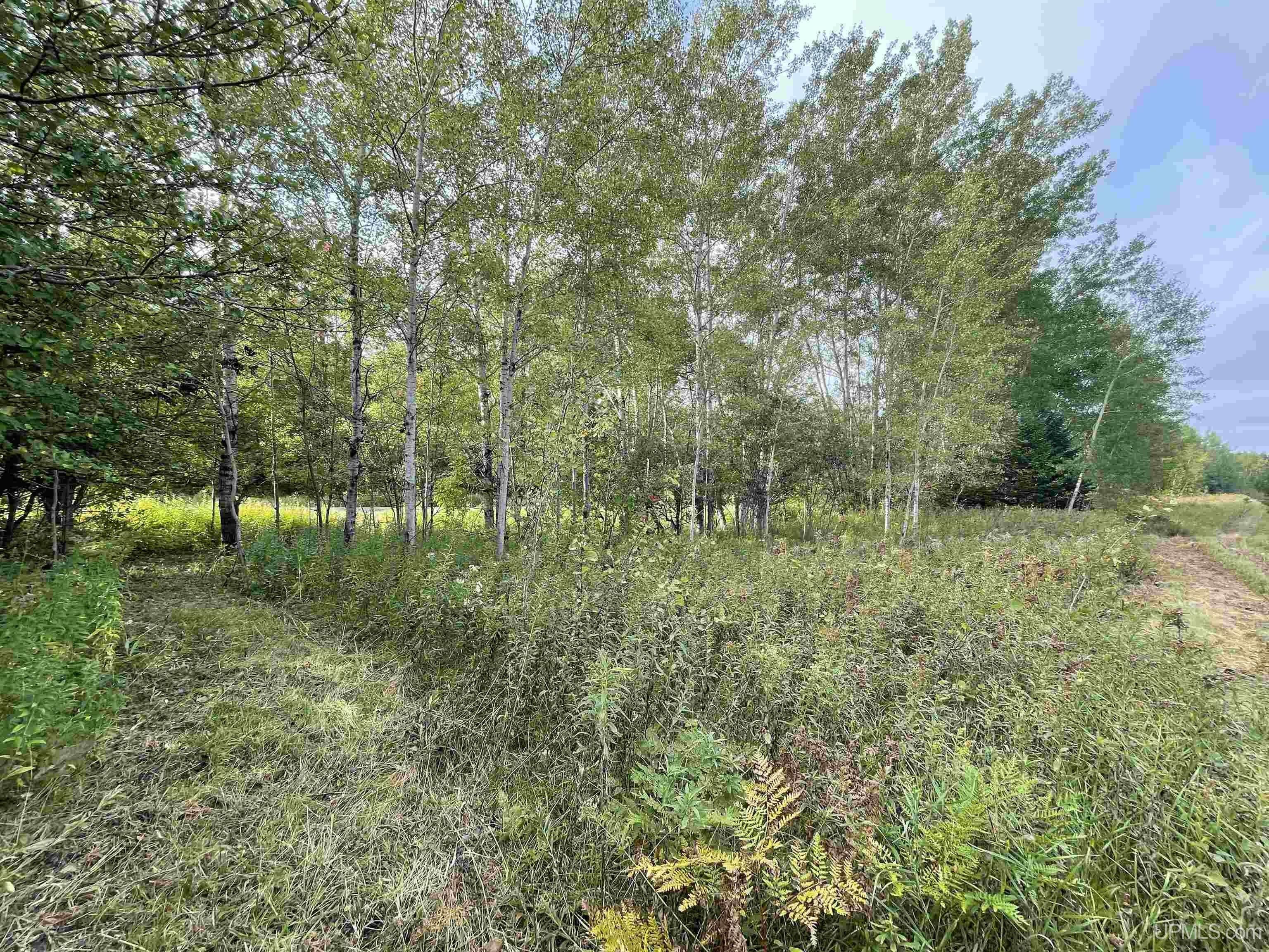 Baraga, Baraga County, MI Undeveloped Land, Homesites for sale Property