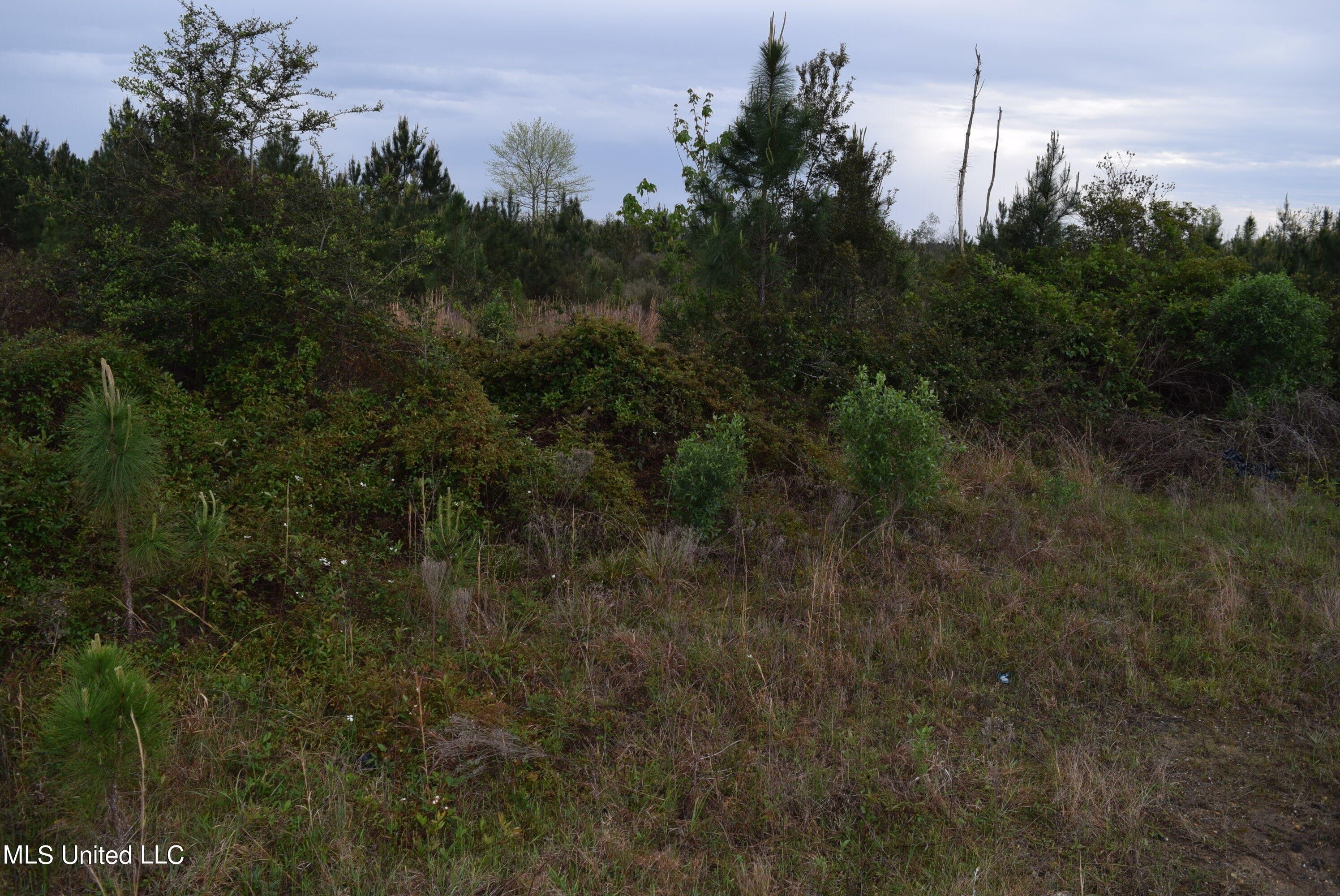 Saucier, Harrison County, MS Undeveloped Land for sale Property ID