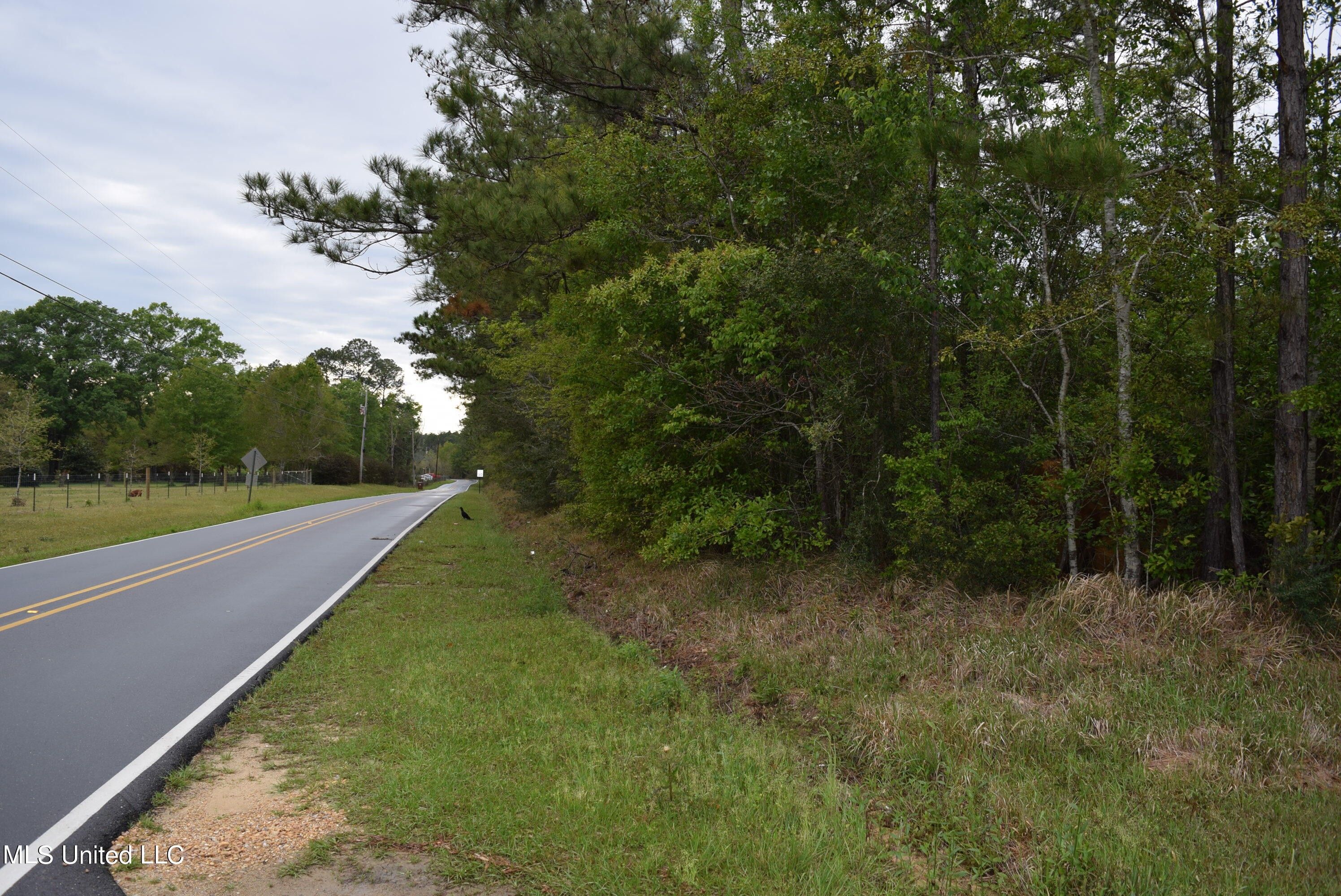 Saucier, Harrison County, MS Undeveloped Land for sale Property ID