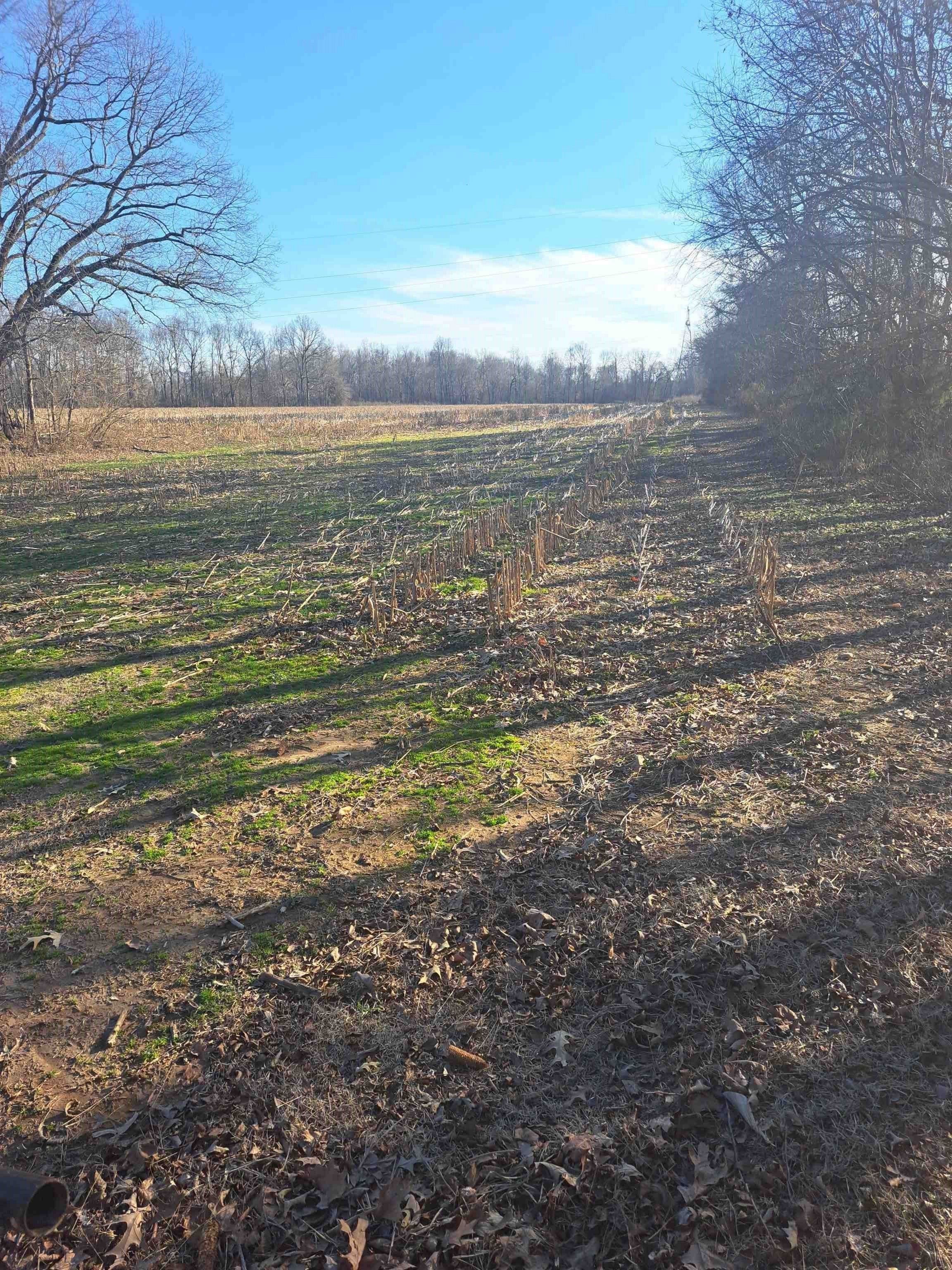 Jackson, Madison County, TN Farms and Ranches for sale Property ID