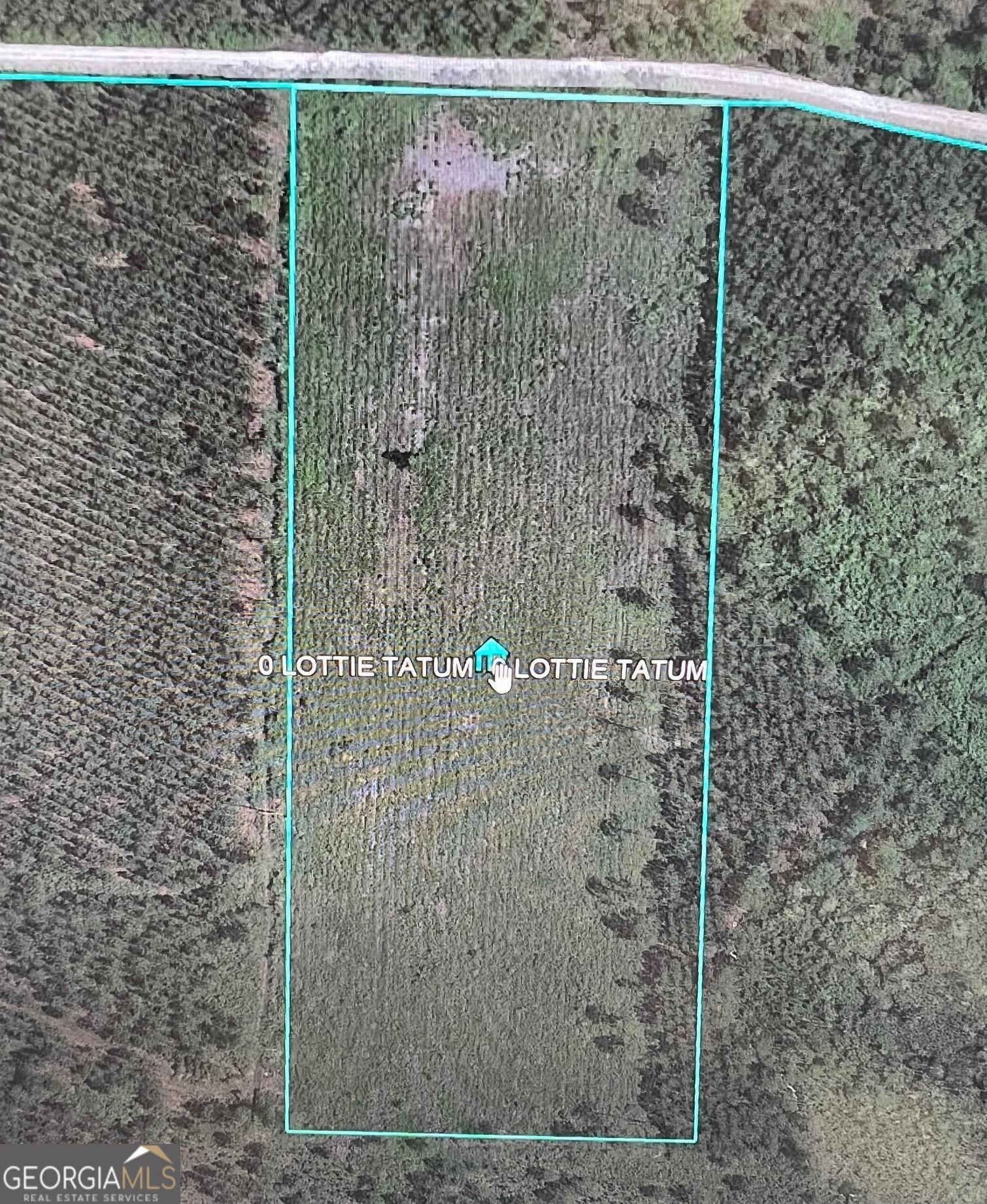 Waycross, Ware County, GA Undeveloped Land for sale Property ID 418817077 LandWatch