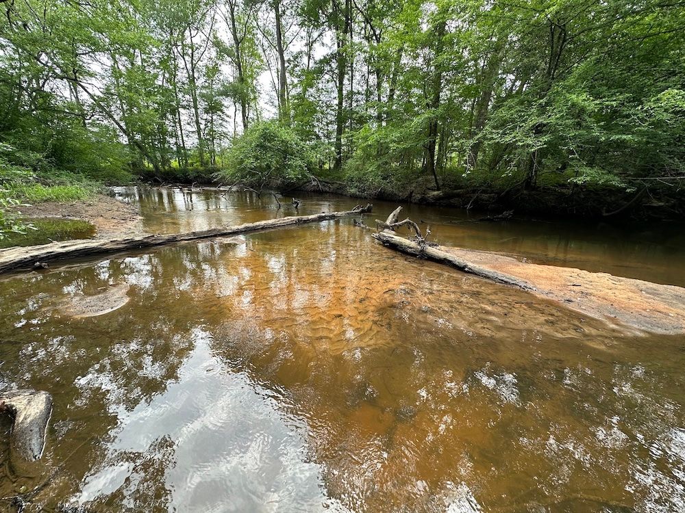 Reynolds, Taylor County, GA Recreational Property, Timberland Property