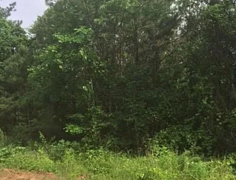 Monticello, Jasper County, GA Undeveloped Land for sale Property ID