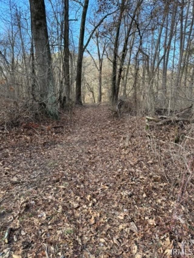 Dugger, Sullivan County, IN Undeveloped Land for sale Property ID
