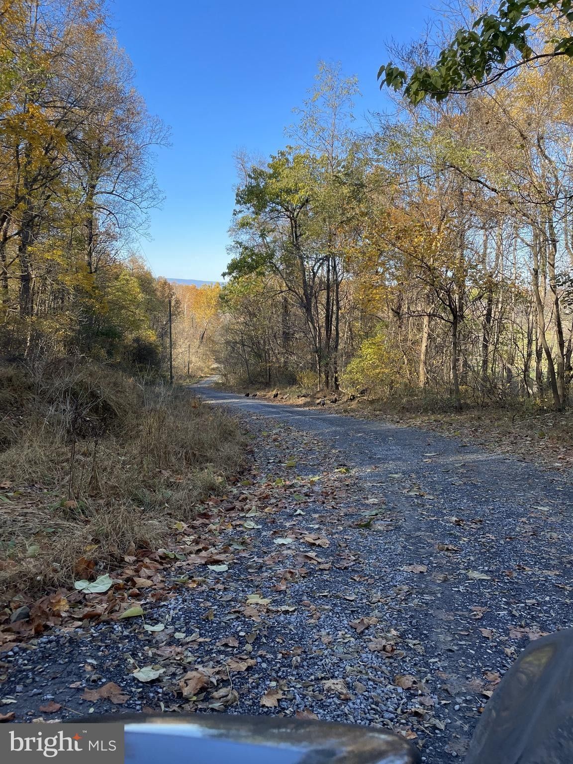 WAPPING FARM ROAD, Front Royal, VA 22630 MLS VAWR2007138 LandWatch