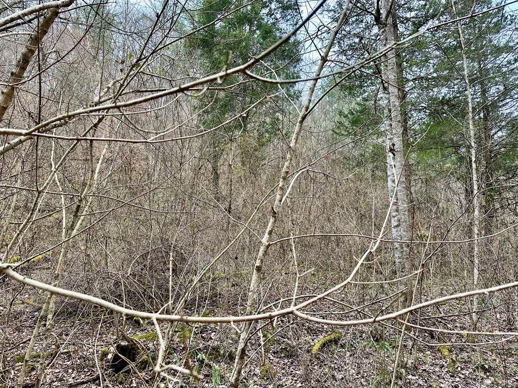 Burkesville, Cumberland County, KY Farms and Ranches for sale Property